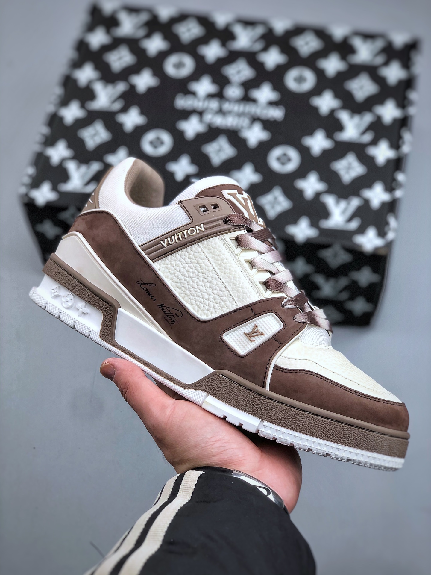 Louis Vuitton Luxury Footwear Collection 3