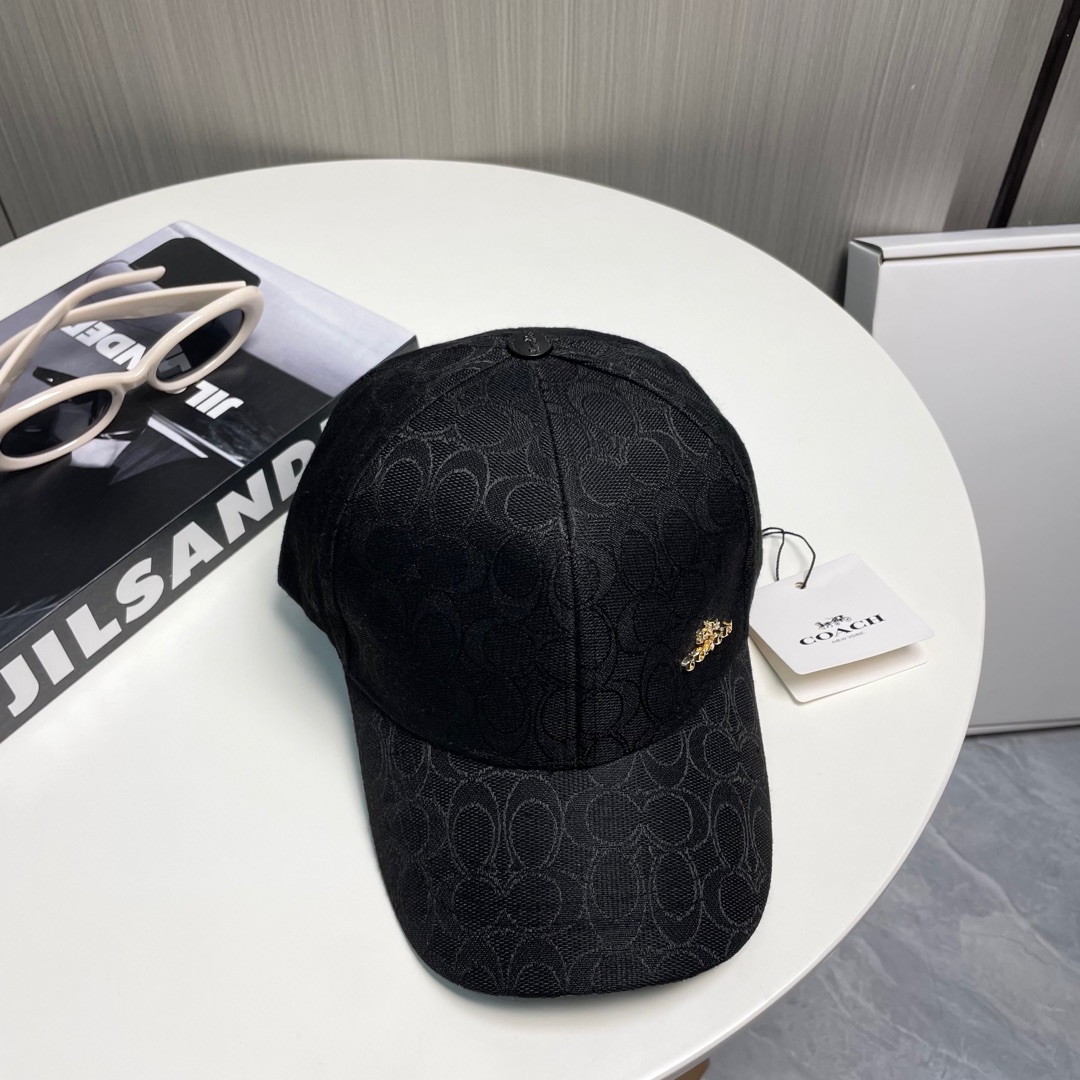 “High-Value Coach Baseball Cap: Perfect and Pricey” - 图片 5