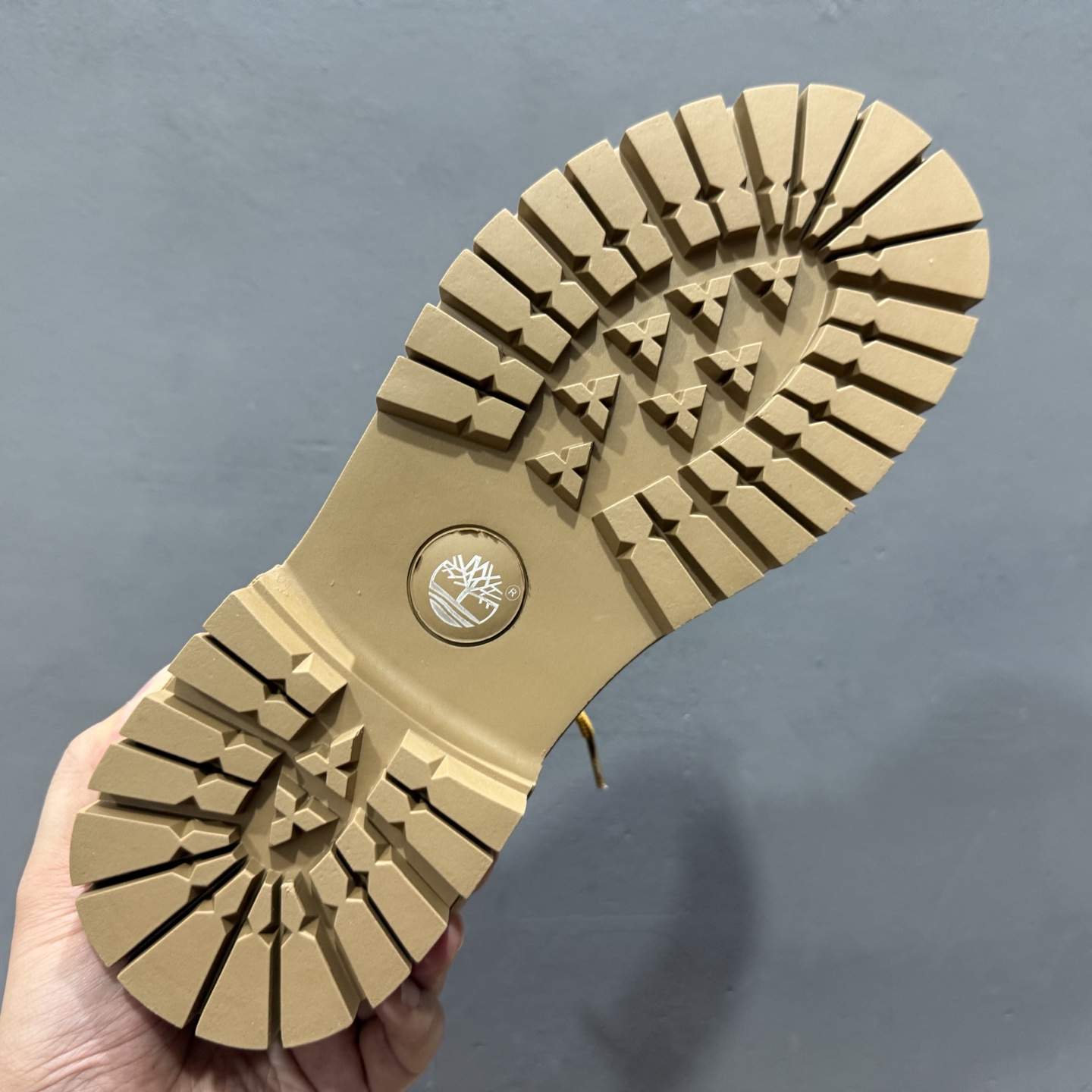 独家实拍Timberland 天伯伦/添柏岚经典款