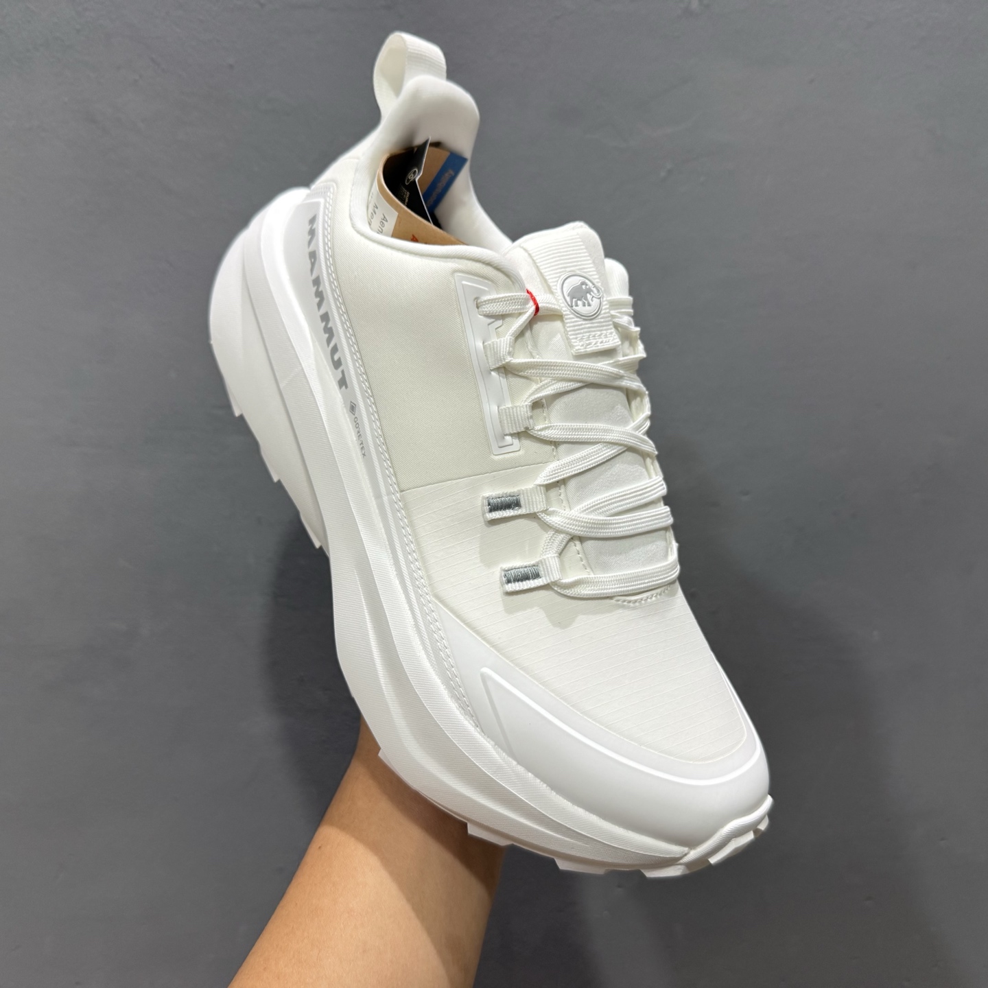 L/MAMMUT猛犸象 户外机能训练 登山鞋 L/MAMMUT猛犸象 户外机能训练 登山鞋