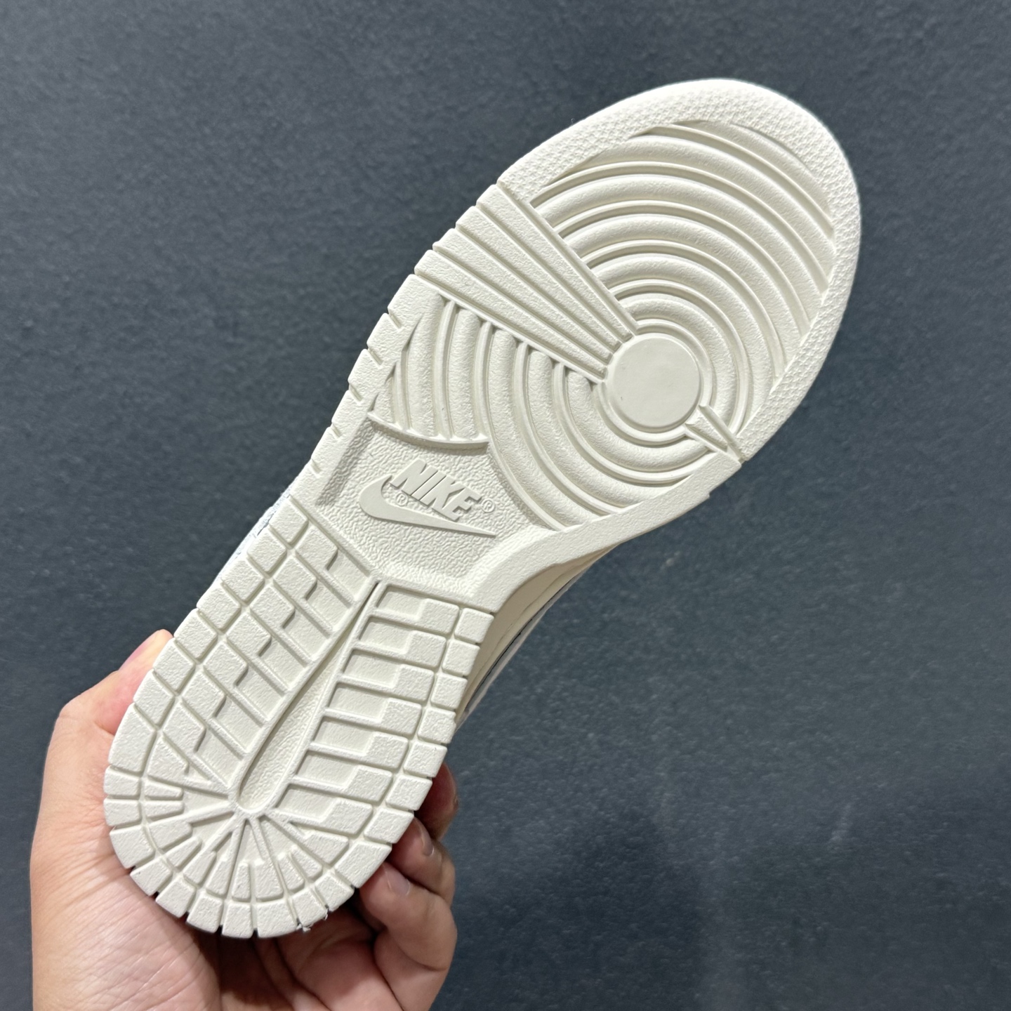 Nike SB Dunk Low 白银 IB7311-001