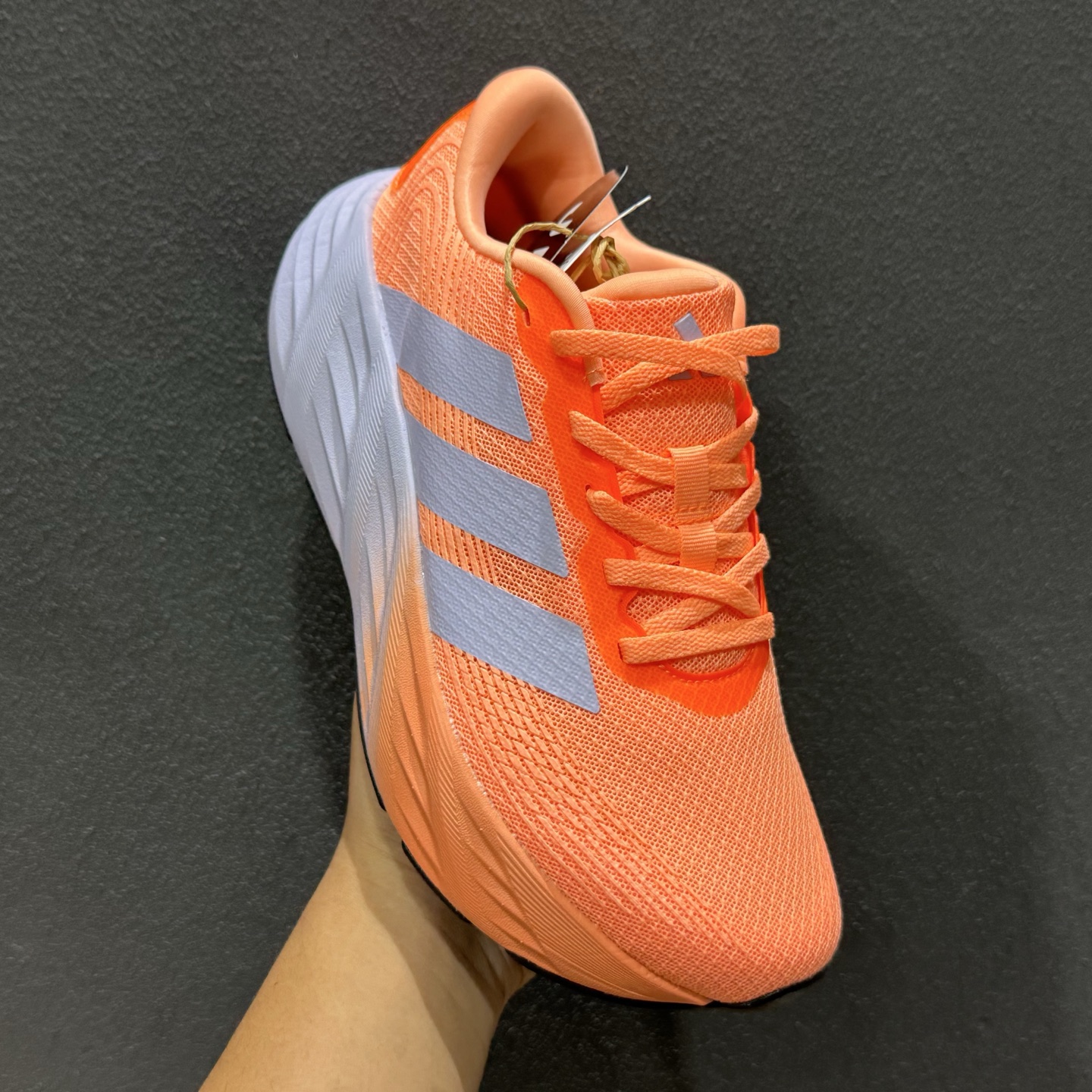 adidas Galaxy 8 阿迪超轻透气缓震跑鞋 三叶草 KJ8312-111-Top High Quatity Cheap Sneakers Fashion Clothing Clothes Bags handbags Shoes of all Brand wholesale With The best Quality And Beautiful Price from China Factory Chinese suppliers wholesaler seller adidas Galaxy 8 阿迪超轻透气缓震跑鞋 三叶草 KJ8312-111