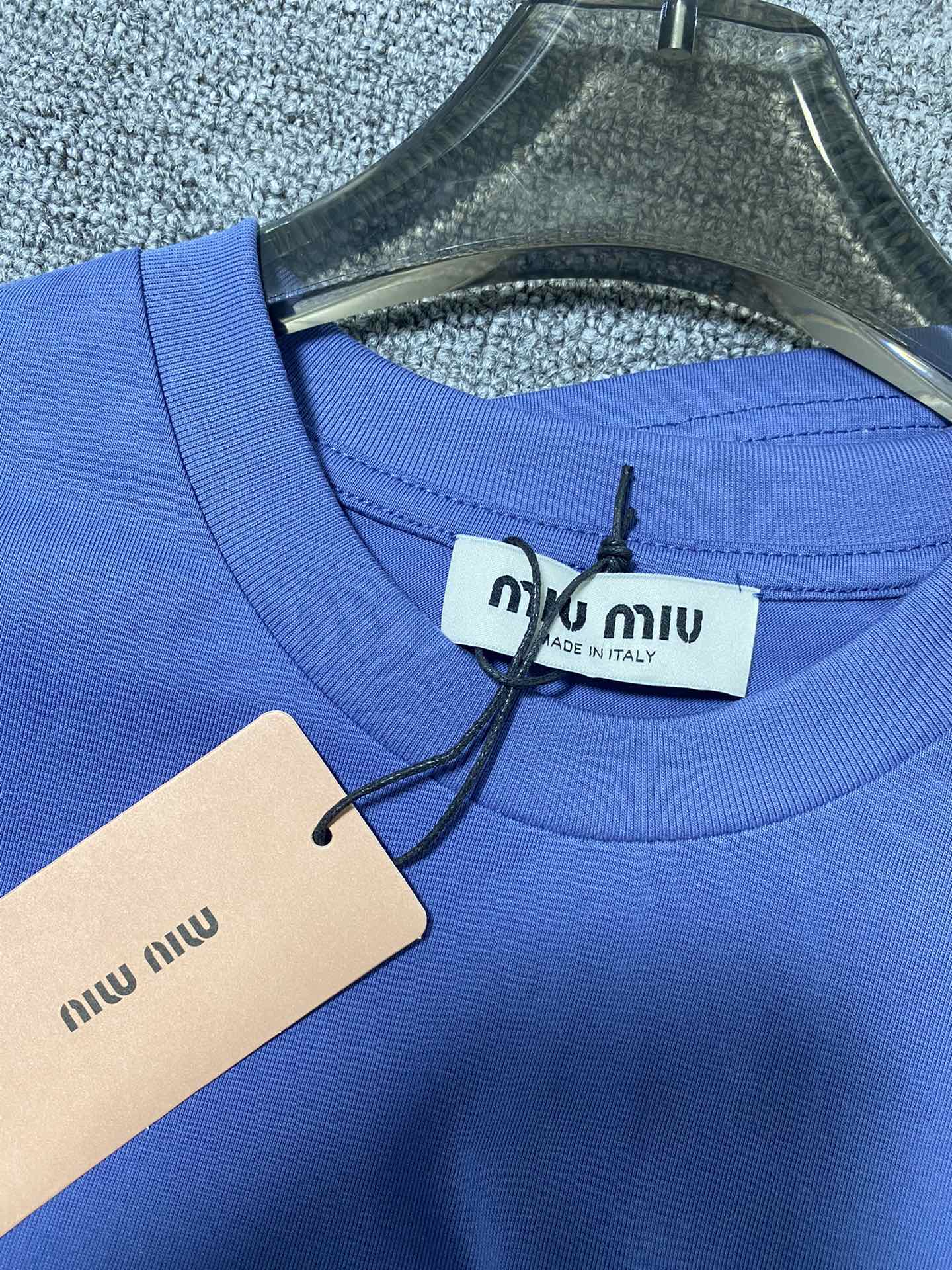 Miu Miu Women's Blue Long Sleeve Crew Neck T-Shirt With Logo 8 i1725024325 4383 2