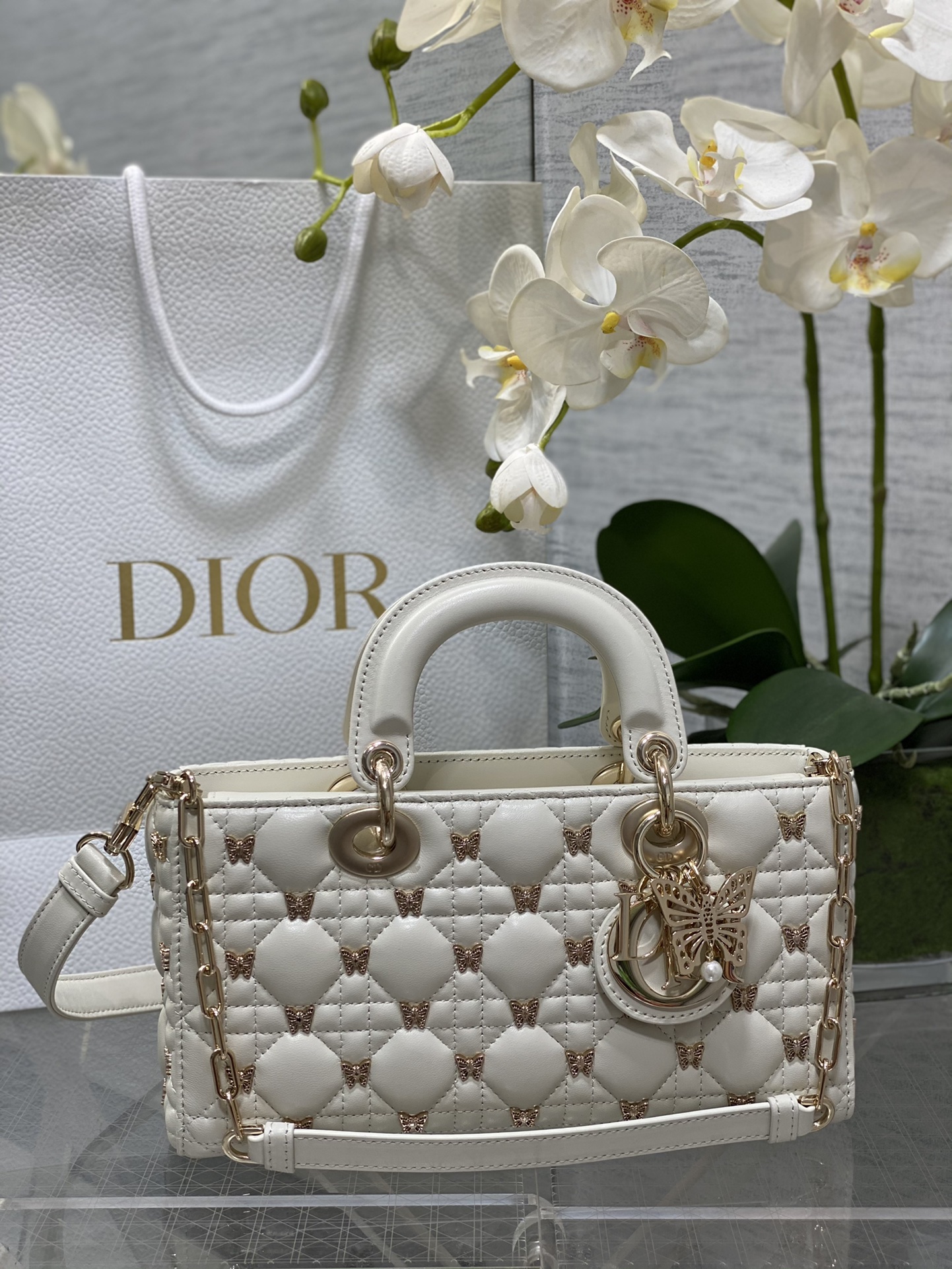 𝐋𝐚𝐝𝐲 Clavos de mariposa de edición limitada de seis cuadros🦋