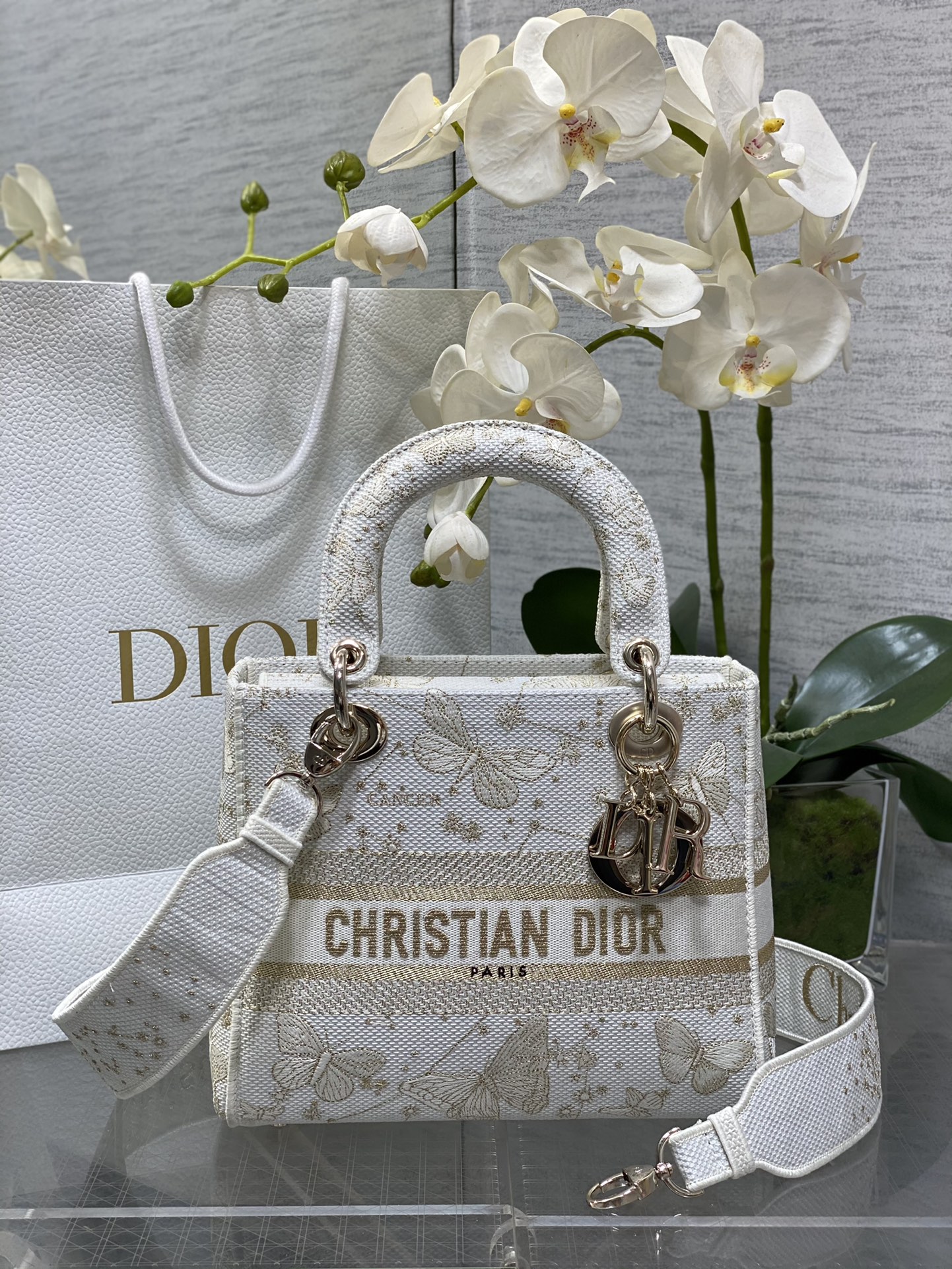 𝐋𝐚𝐝𝐲La última mariposa dorada en cinco cuadrículas