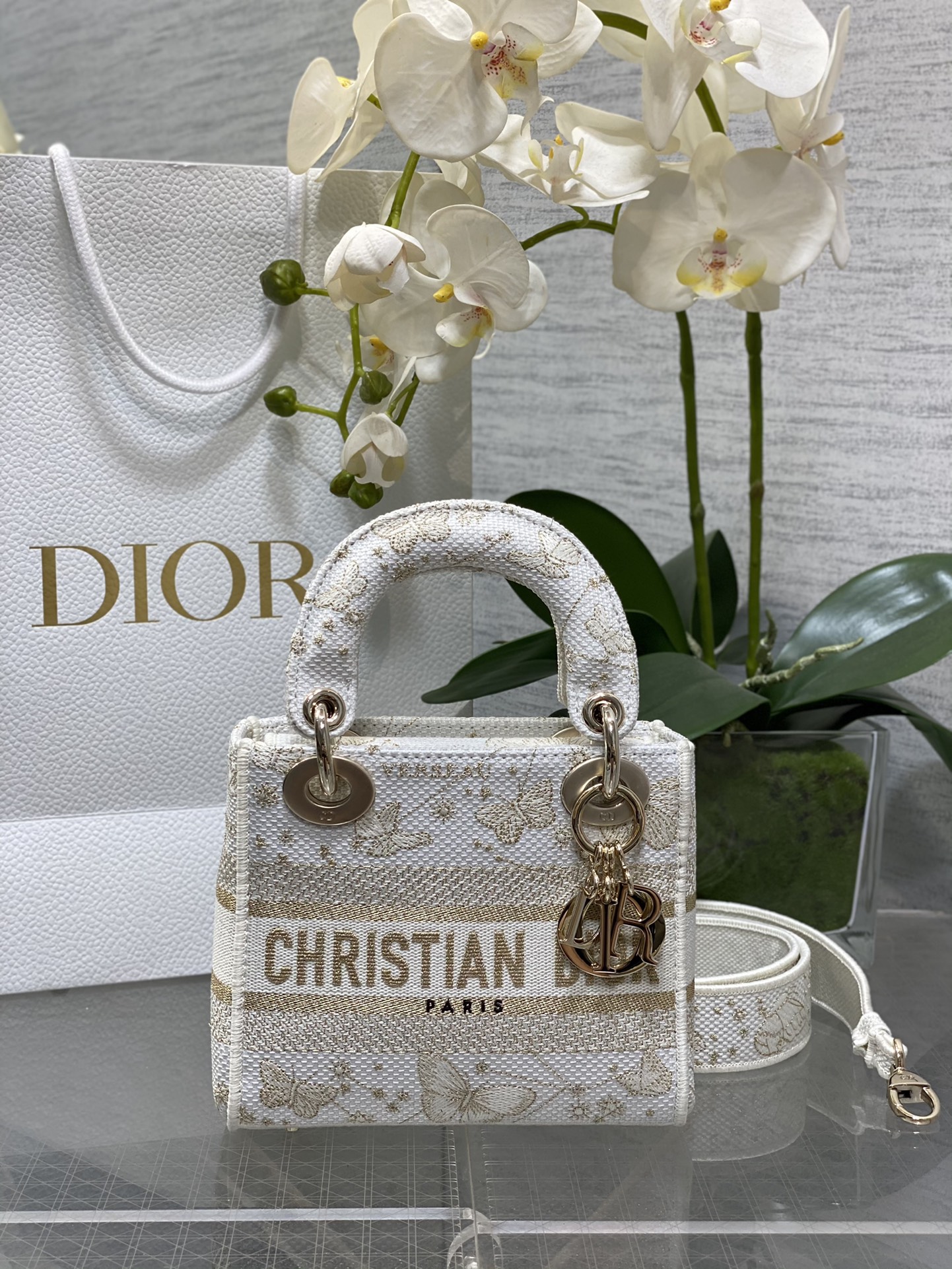 𝐋𝐚𝐝𝐲 tres compartimentos, última talla, mariposa dorada