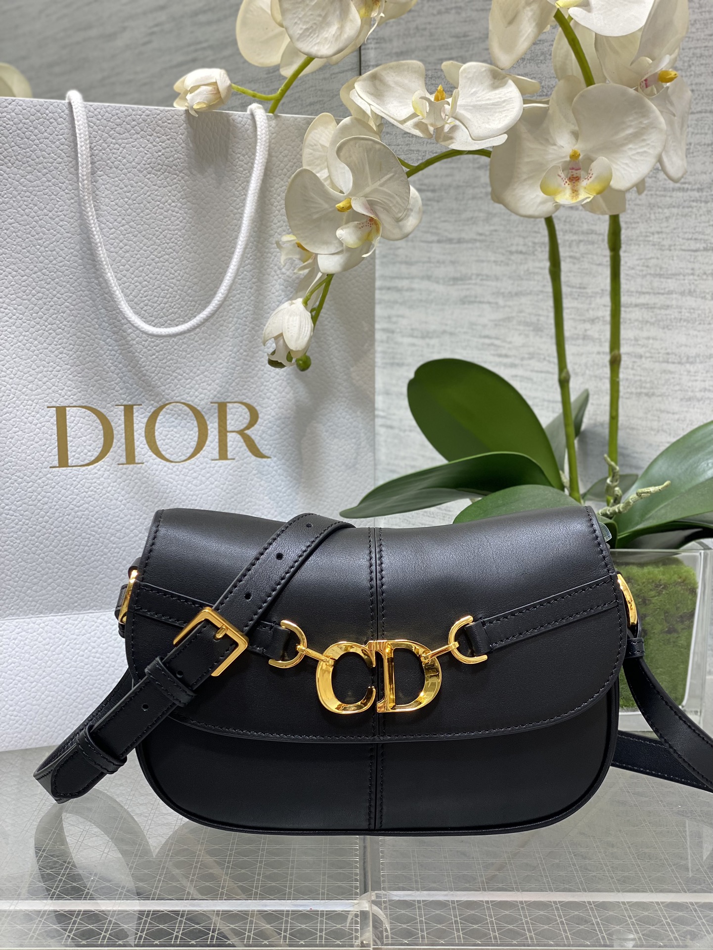 [Dior Women