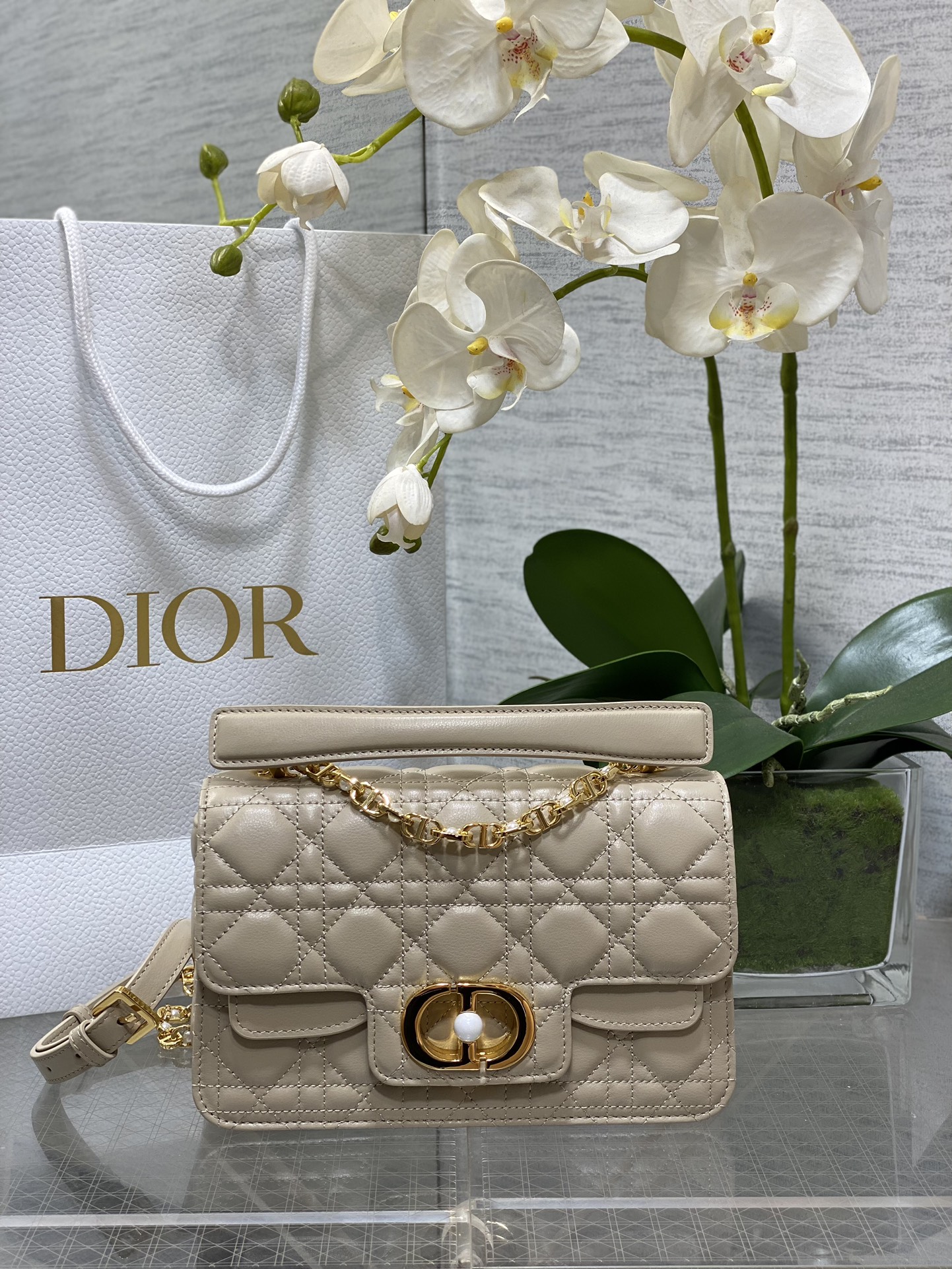 [Dior Women