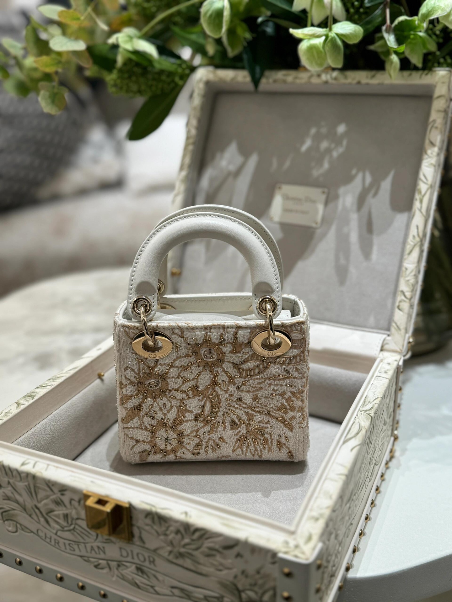 [Dior Women