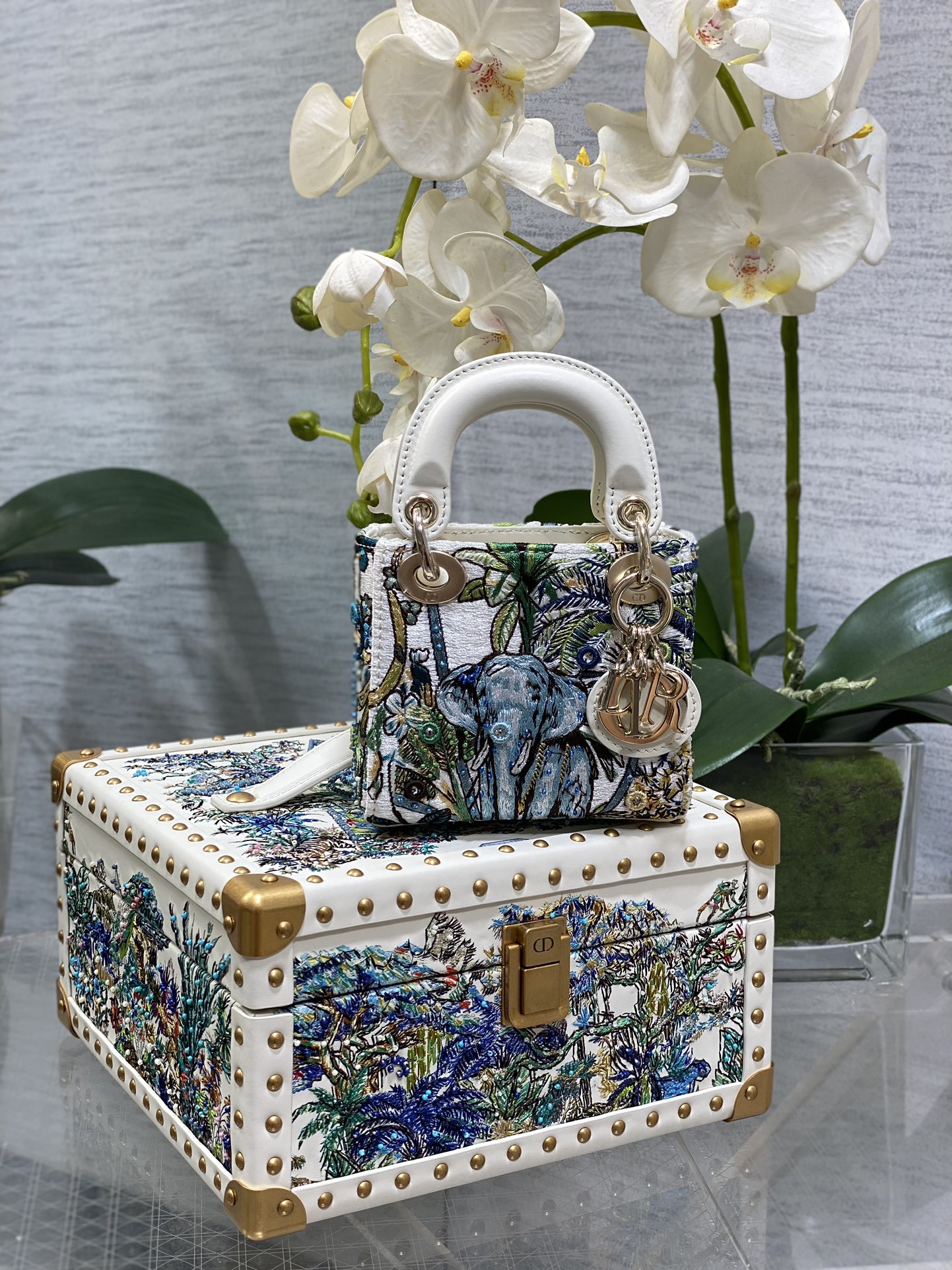 [Dior Women
