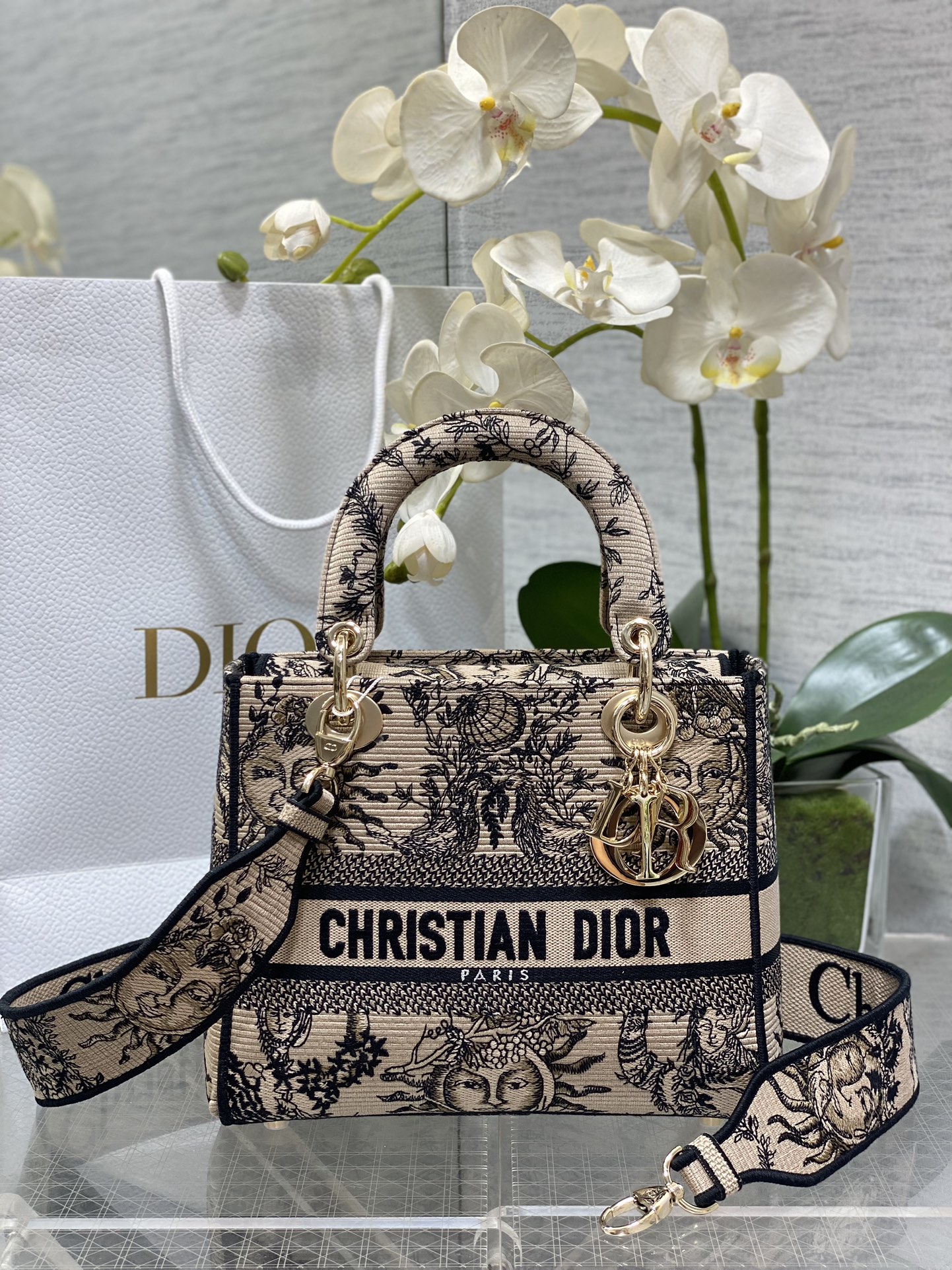[Dior Women