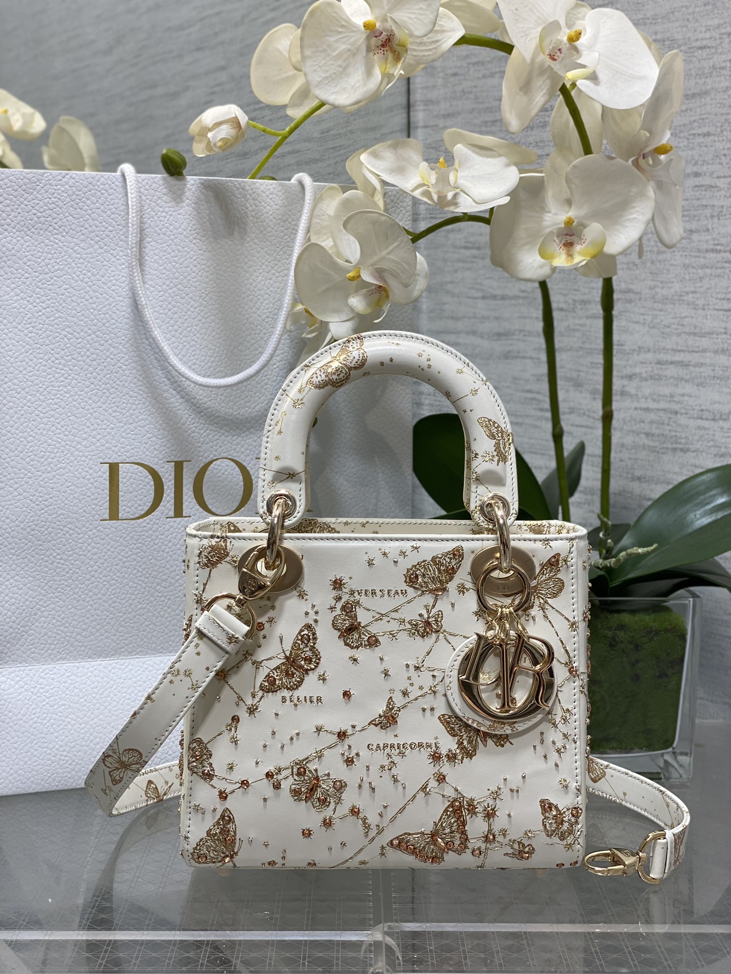 𝐋𝐚𝐝𝐲 Edición Limitada, nuevo modelo con mariposa dorada de alta gama