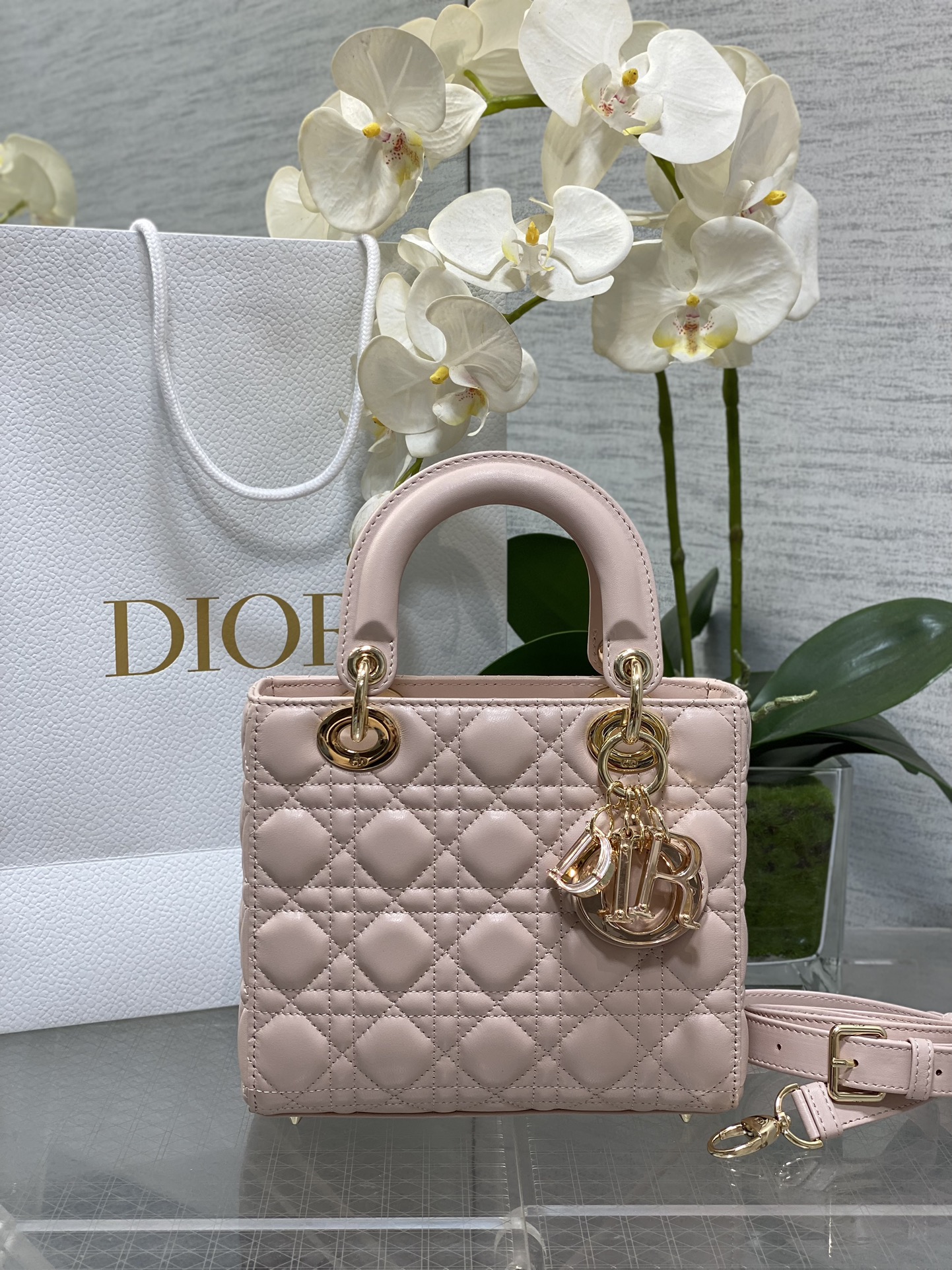 𝐋𝐚𝐝𝐲 La última hebilla esmaltada de cuatro colores de la princesa Diana