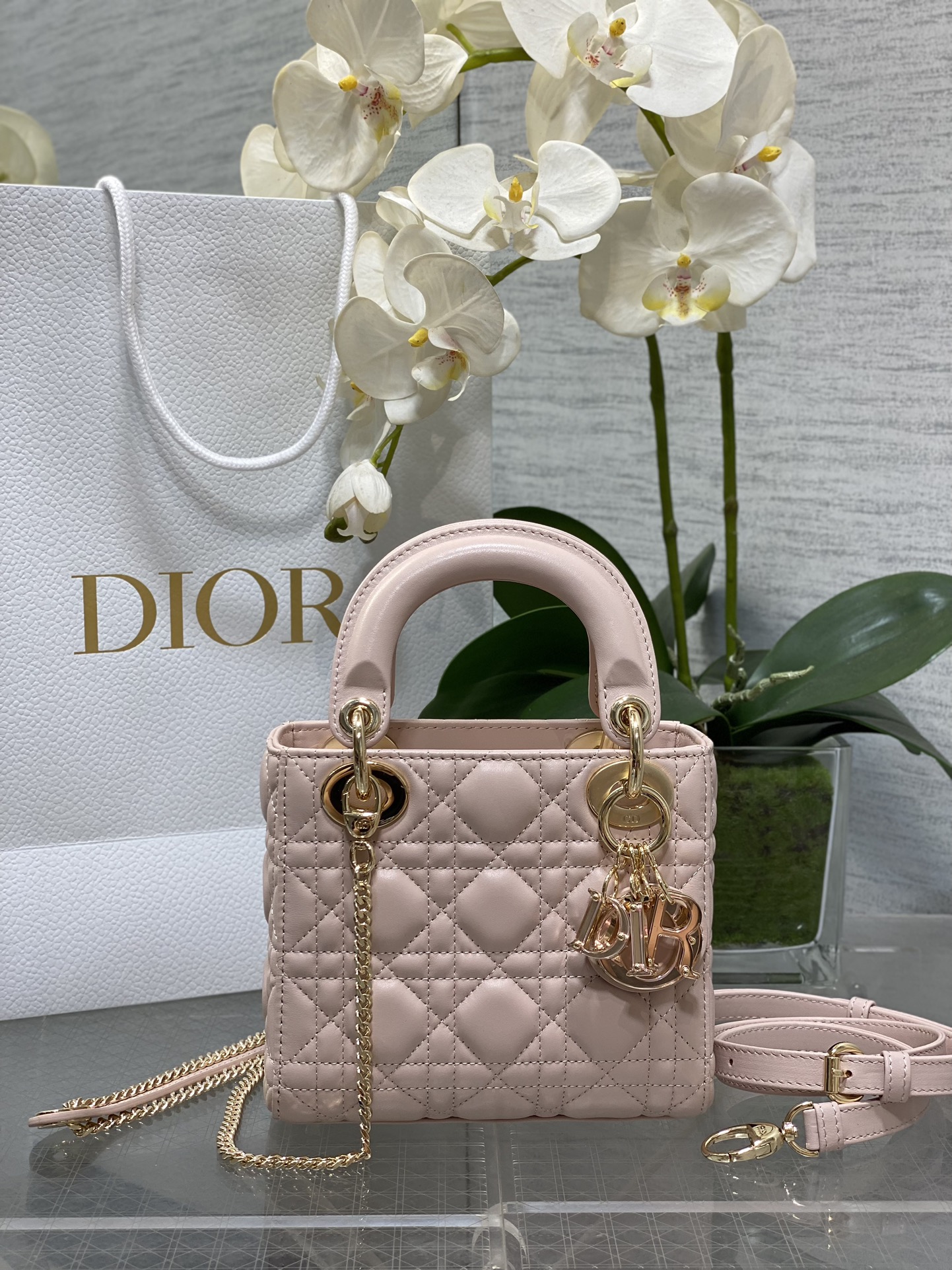 𝐋𝐚𝐝𝐲 La última hebilla esmaltada de tres colores de la princesa Diana