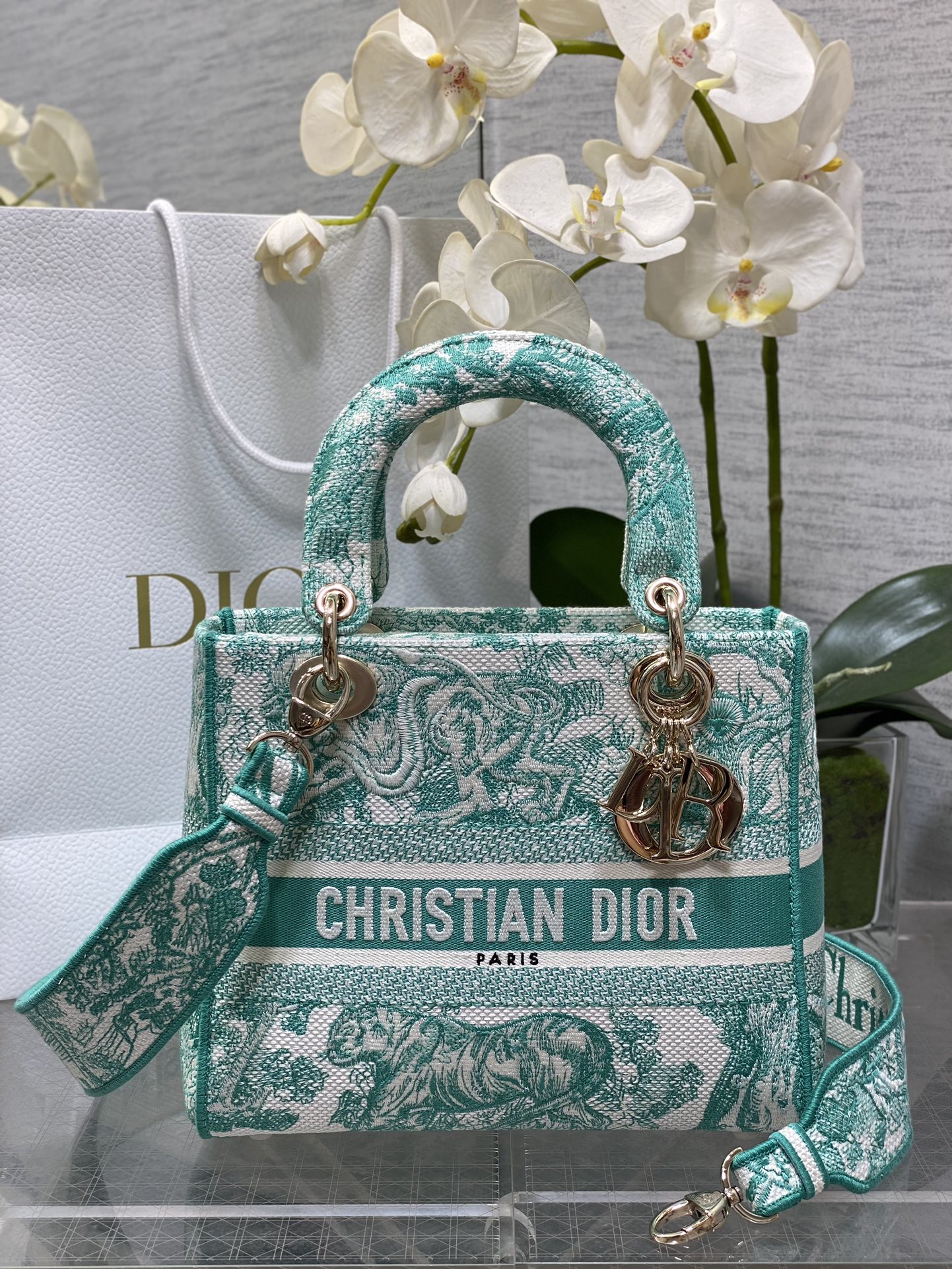 𝐋𝐚𝐝𝐲 cinco compartimentos, último tigre verde