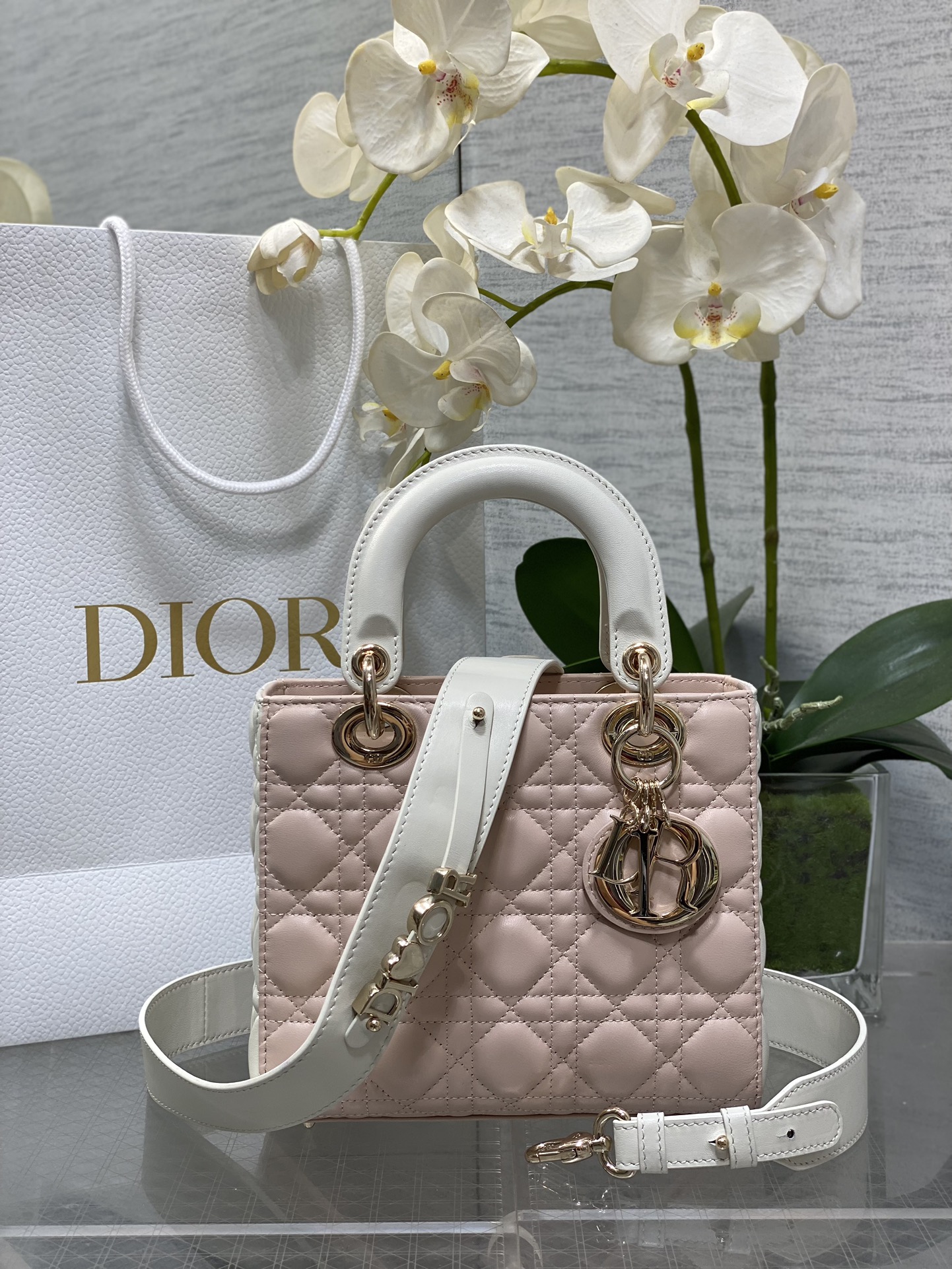 𝐋𝐚𝐝𝐲Cuatro rejillas, colorete en polvo y blanco.