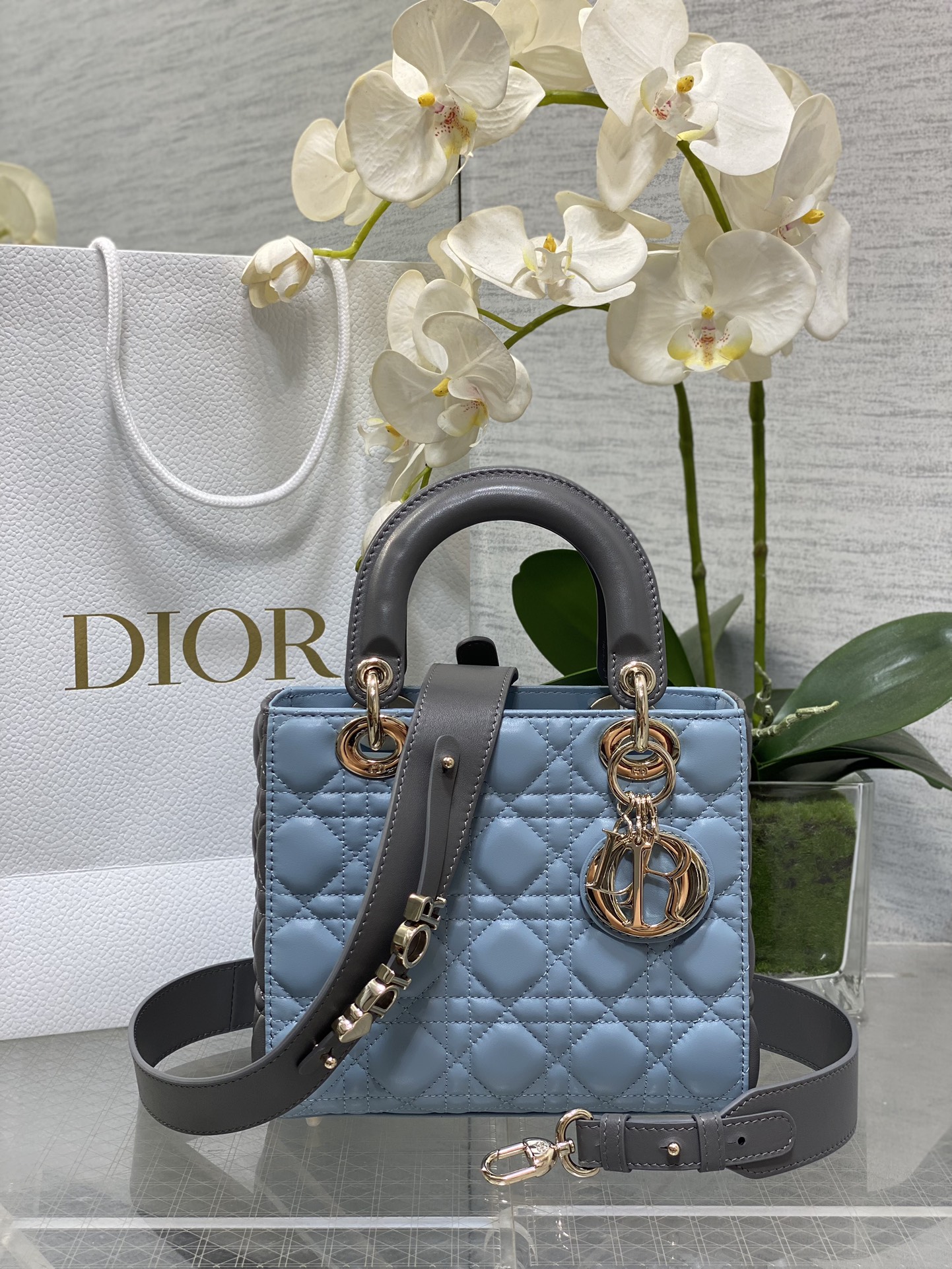 𝐋𝐚𝐝𝐲 combinación de colores de cuatro cuadrículas