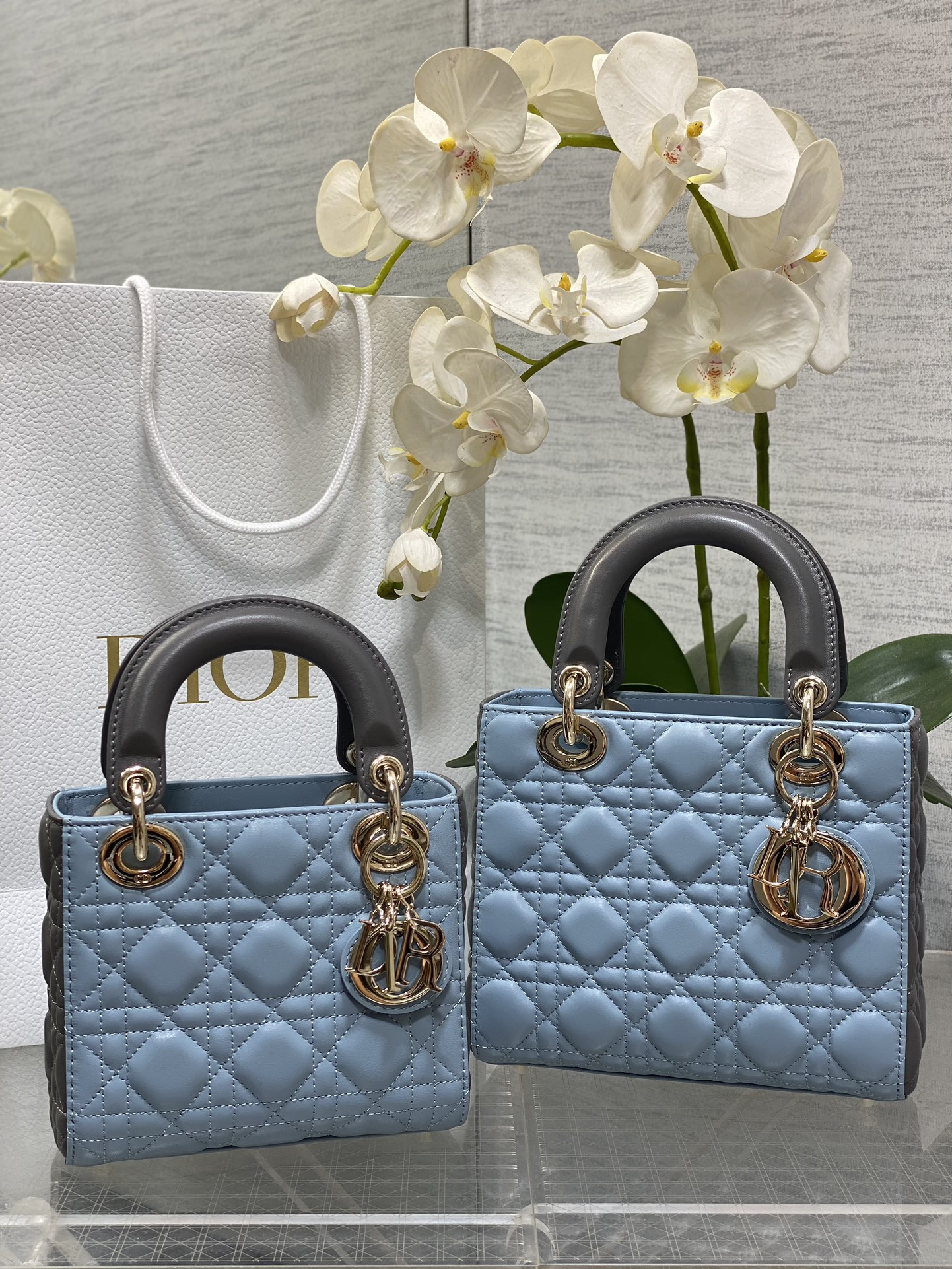 Dior Lady color matching latest colors