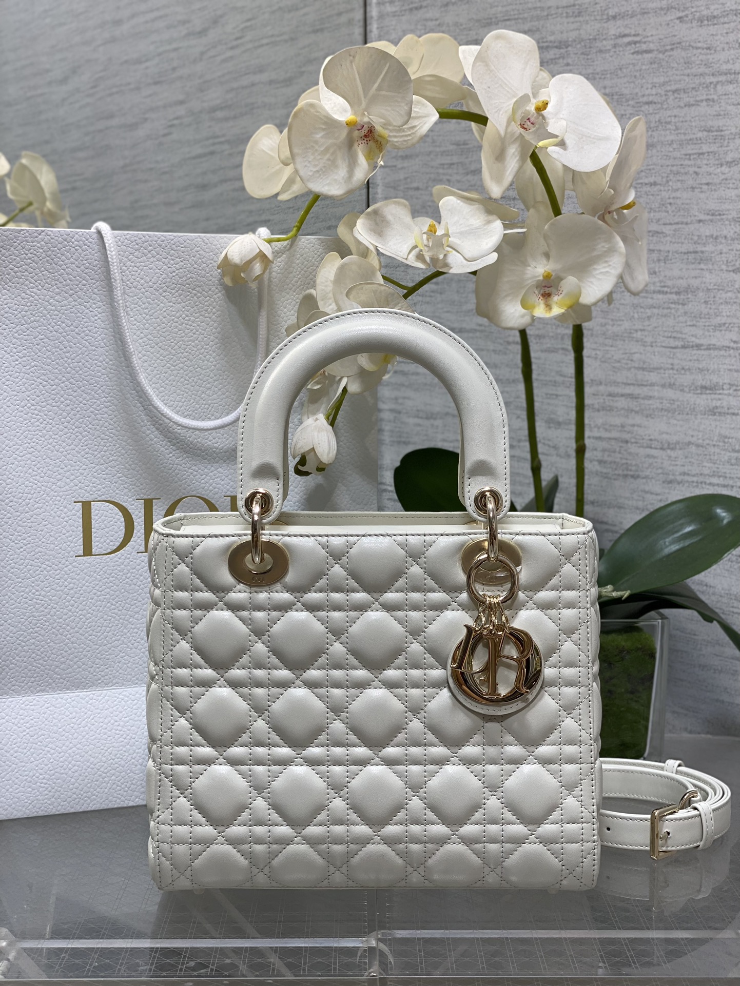 𝐋𝐚𝐝𝐲 Versión libre de impuestos de cinco cuadros de la Princesa Diana Escanee el código QR en el interior
