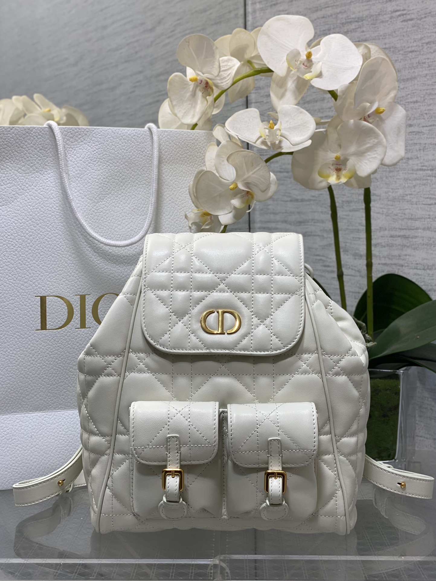 Dior Caro backpack White large everyday