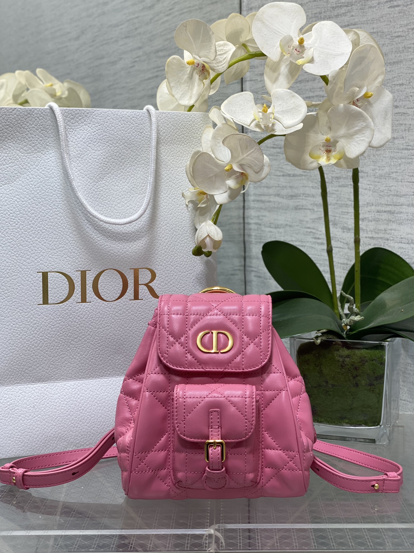 Dior Caro Bolsos Mochila Colección otoño – invierno