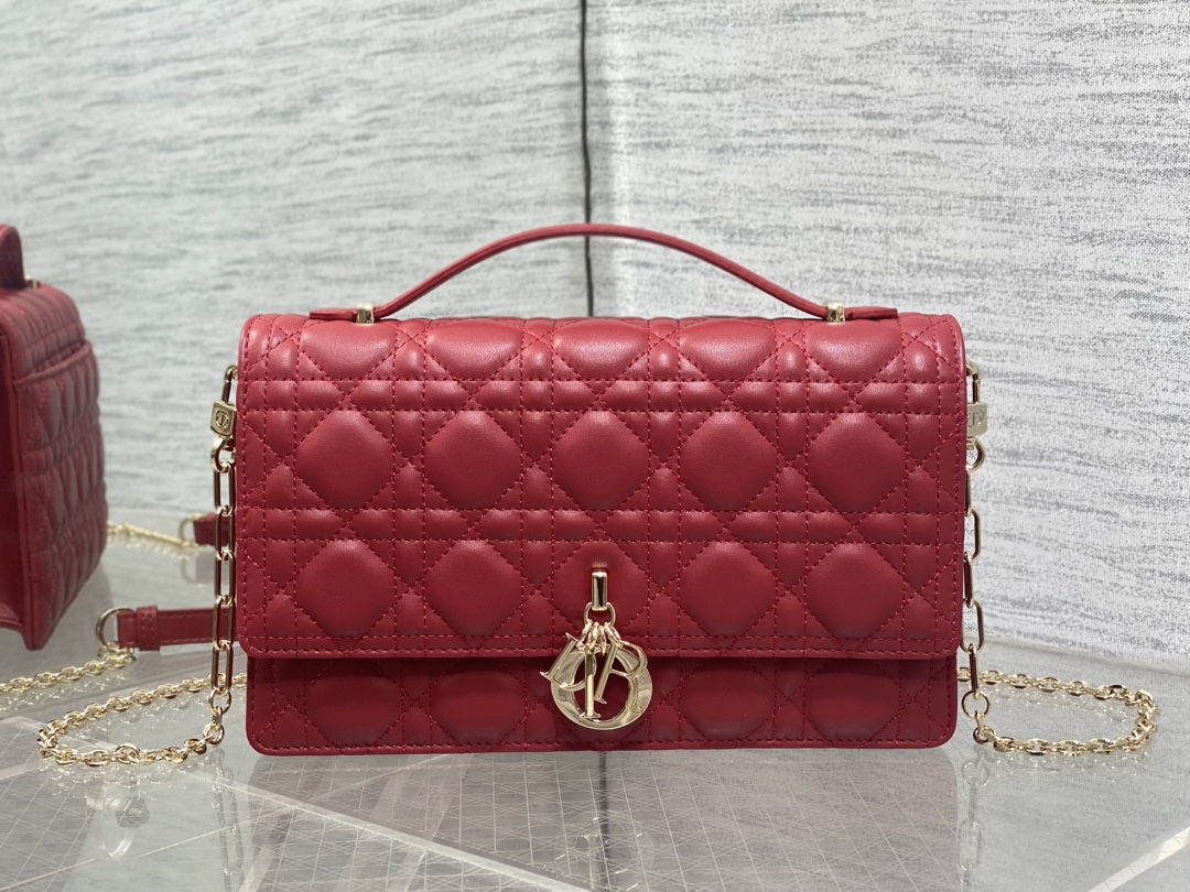 Dior Style Leather Clutch Lookbook Reference image 1