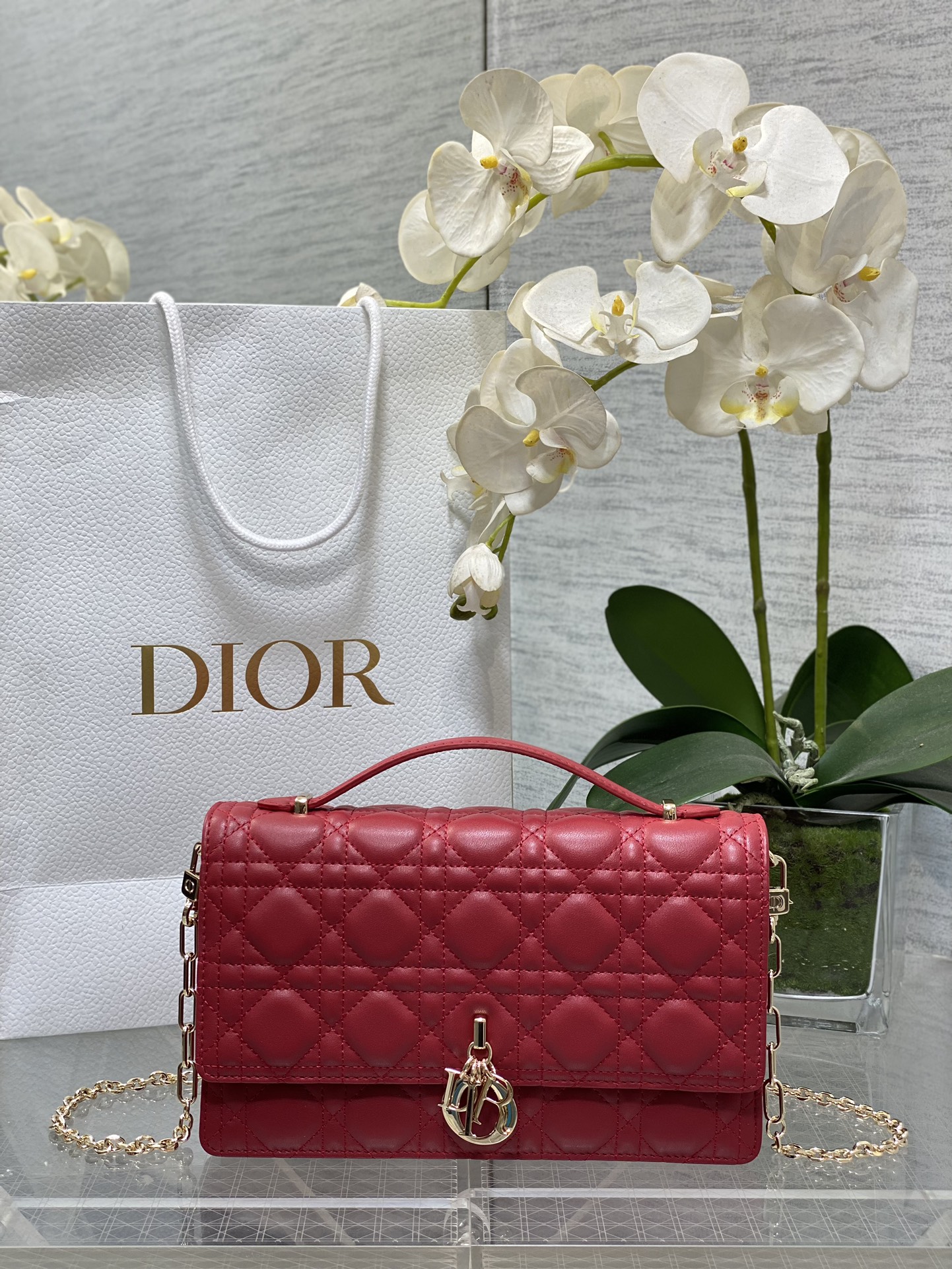 𝐃𝟏𝐨𝐫 𝐌𝐢𝐬𝐬 Último color rojo cereza de gran tamaño