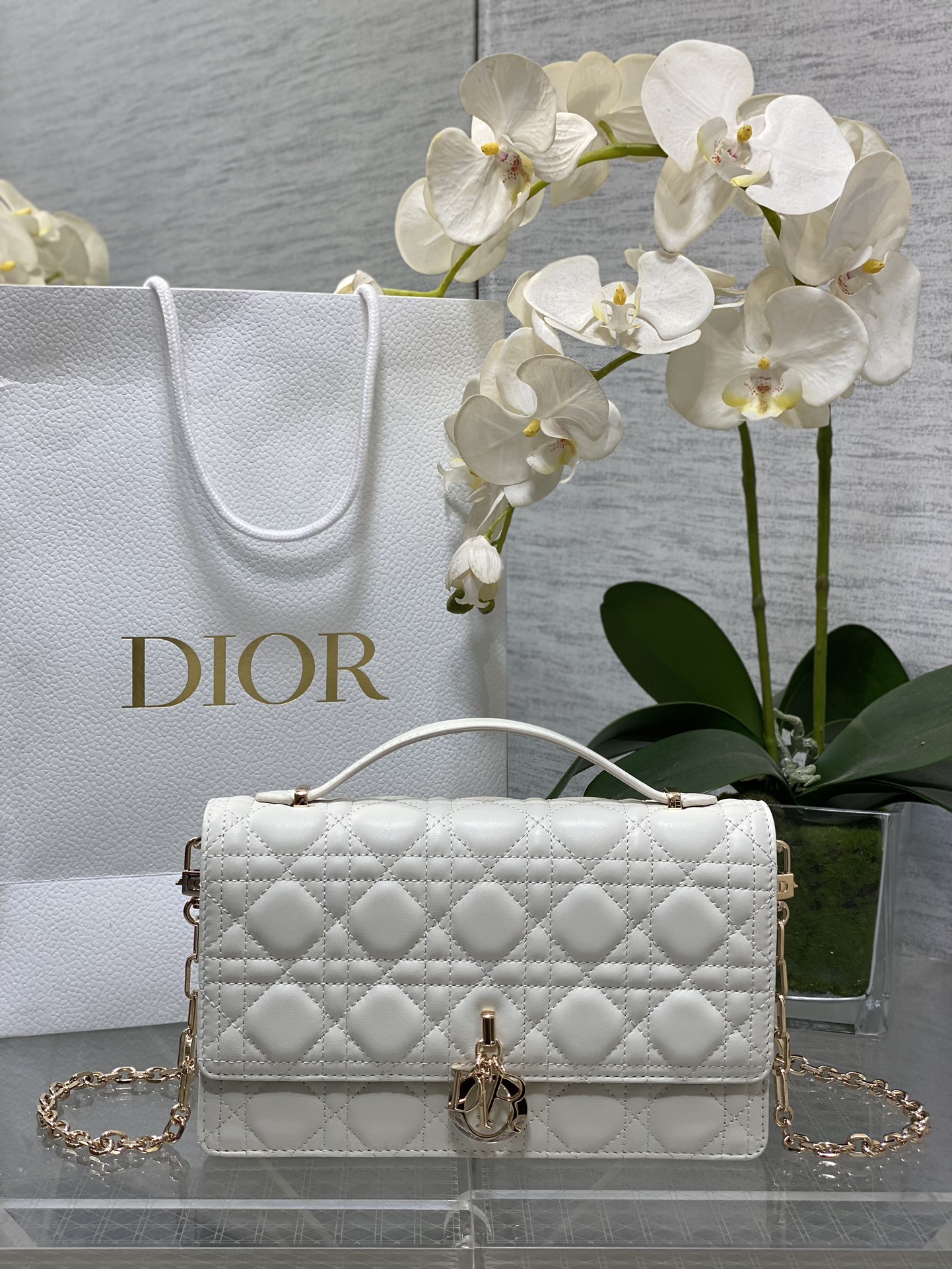 𝐃𝟏𝐨𝐫 𝐌𝐢𝐬𝐬 último blanco lechoso de gran tamaño