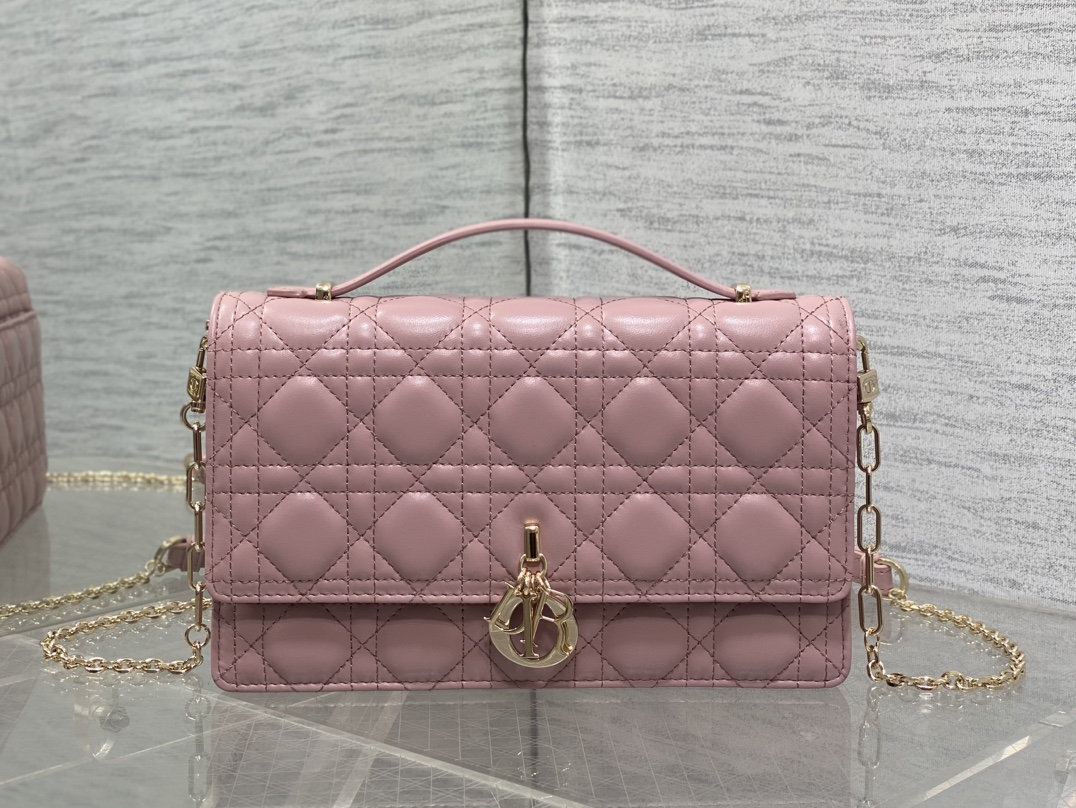 Dior Style Pink Leather Clutch Lookbook Reference image 1