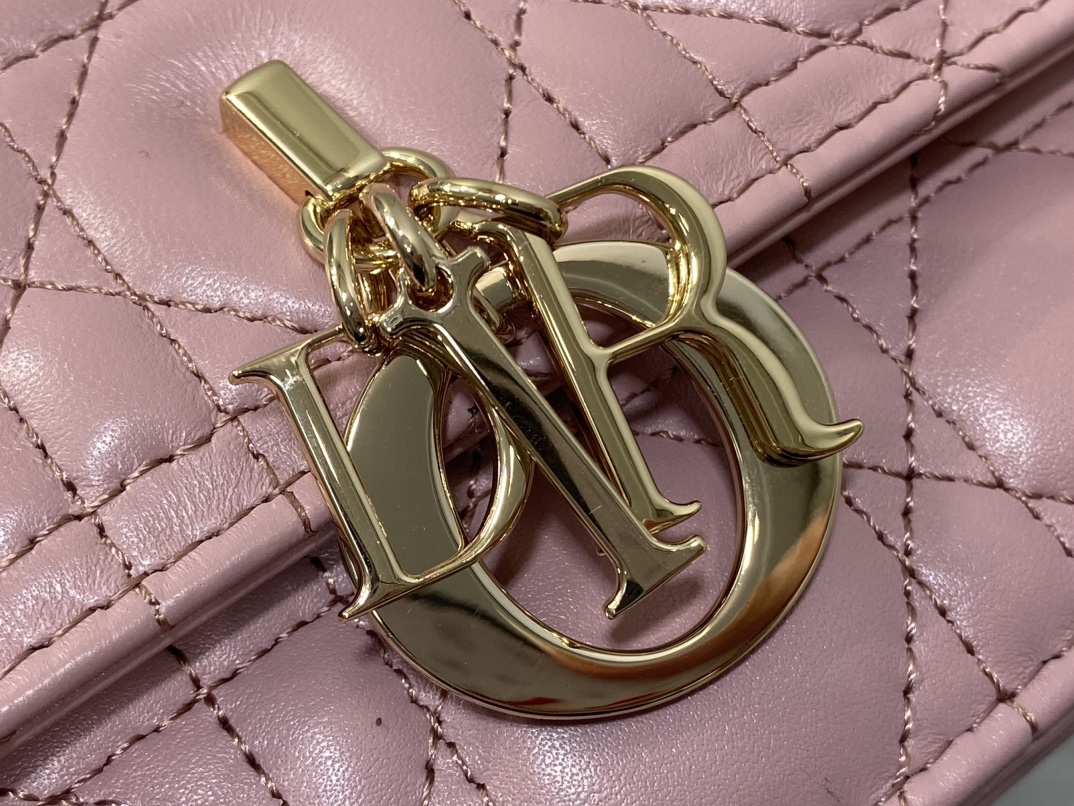 Dior Style Pink Leather Clutch Lookbook Reference image 2
