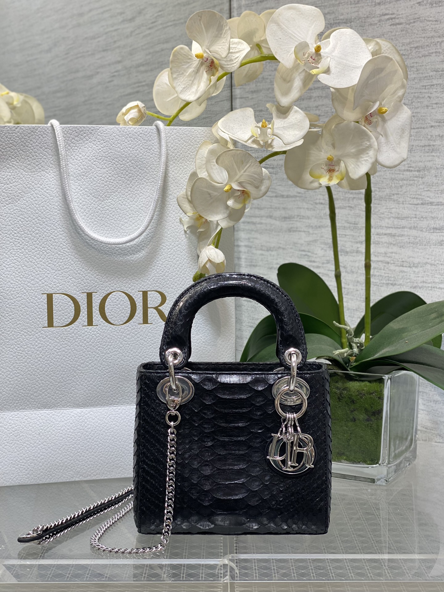 𝐋𝐚𝐝𝐲 piel de serpiente negra de tres rejillas