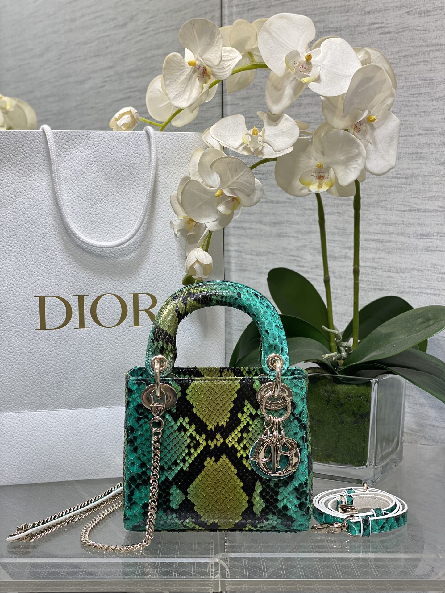 𝐋𝐚𝐝𝐲 tres monturas de piel de serpiente de color amarillo a verde