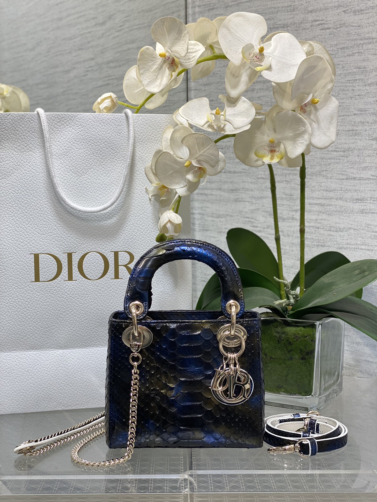 𝐋𝐚𝐝𝐲 Tres rejillas Sinfonía piel de serpiente azul y amarilla
