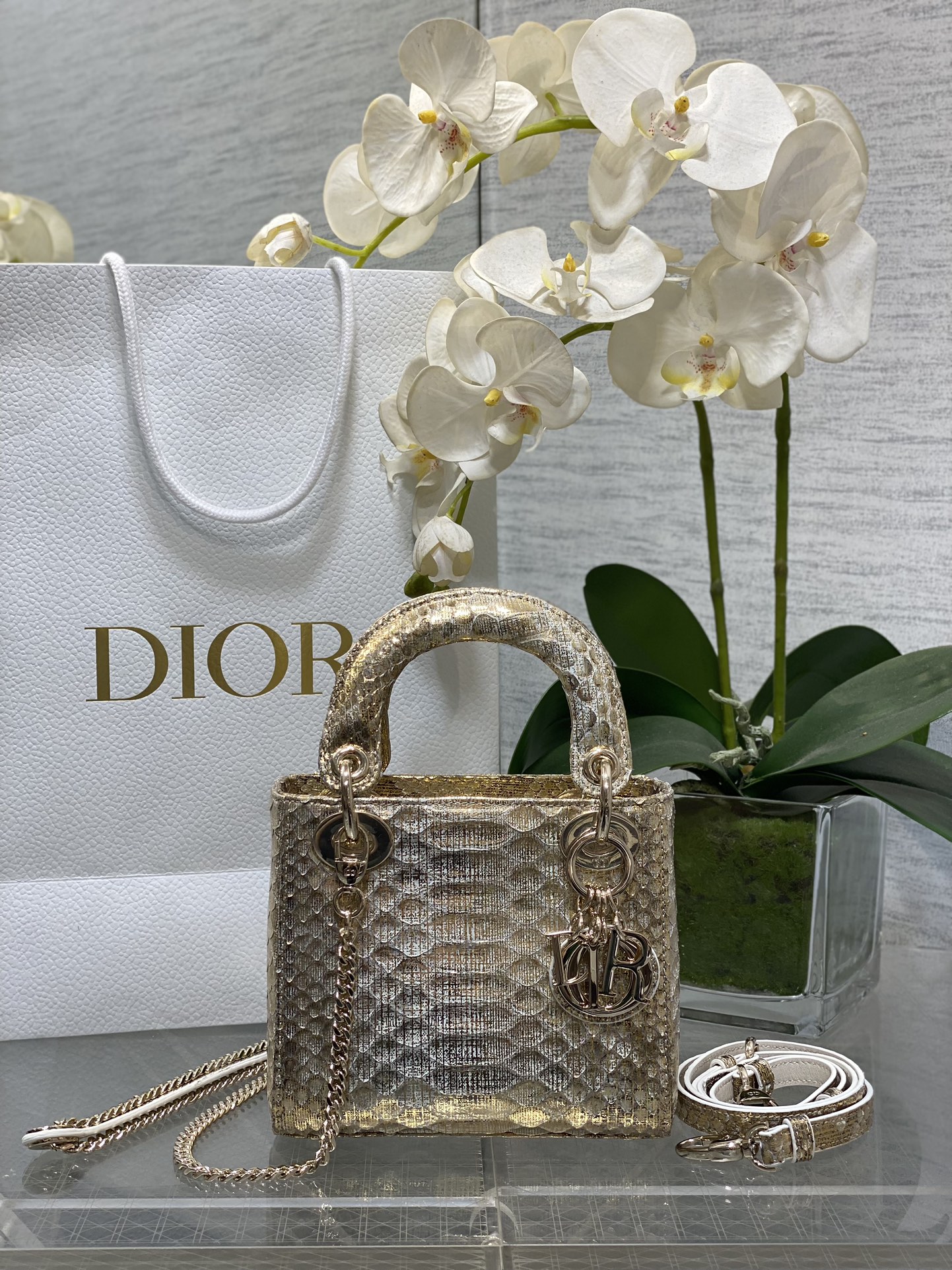 𝐋𝐚𝐝𝐲Tres rejillas Piel de serpiente dorada con textura.