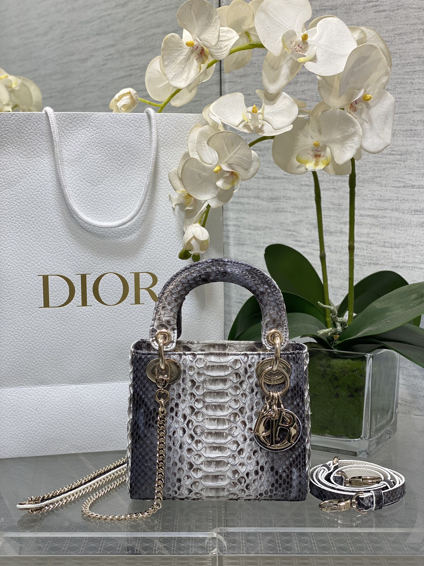 𝐋𝐚𝐝𝐲 piel de serpiente gris degradado de tres cuadros