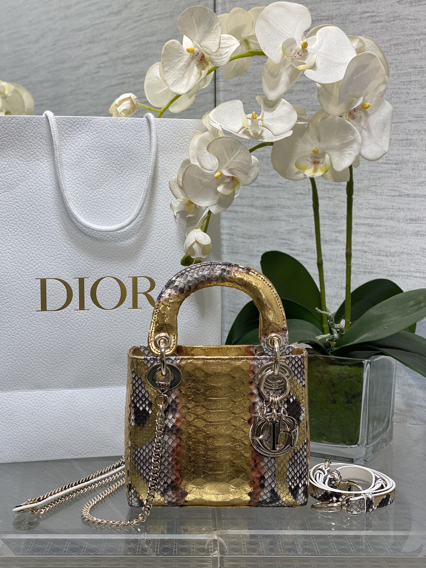 𝐋𝐚𝐝𝐲Tres rejillas, rica piel de serpiente dorada.