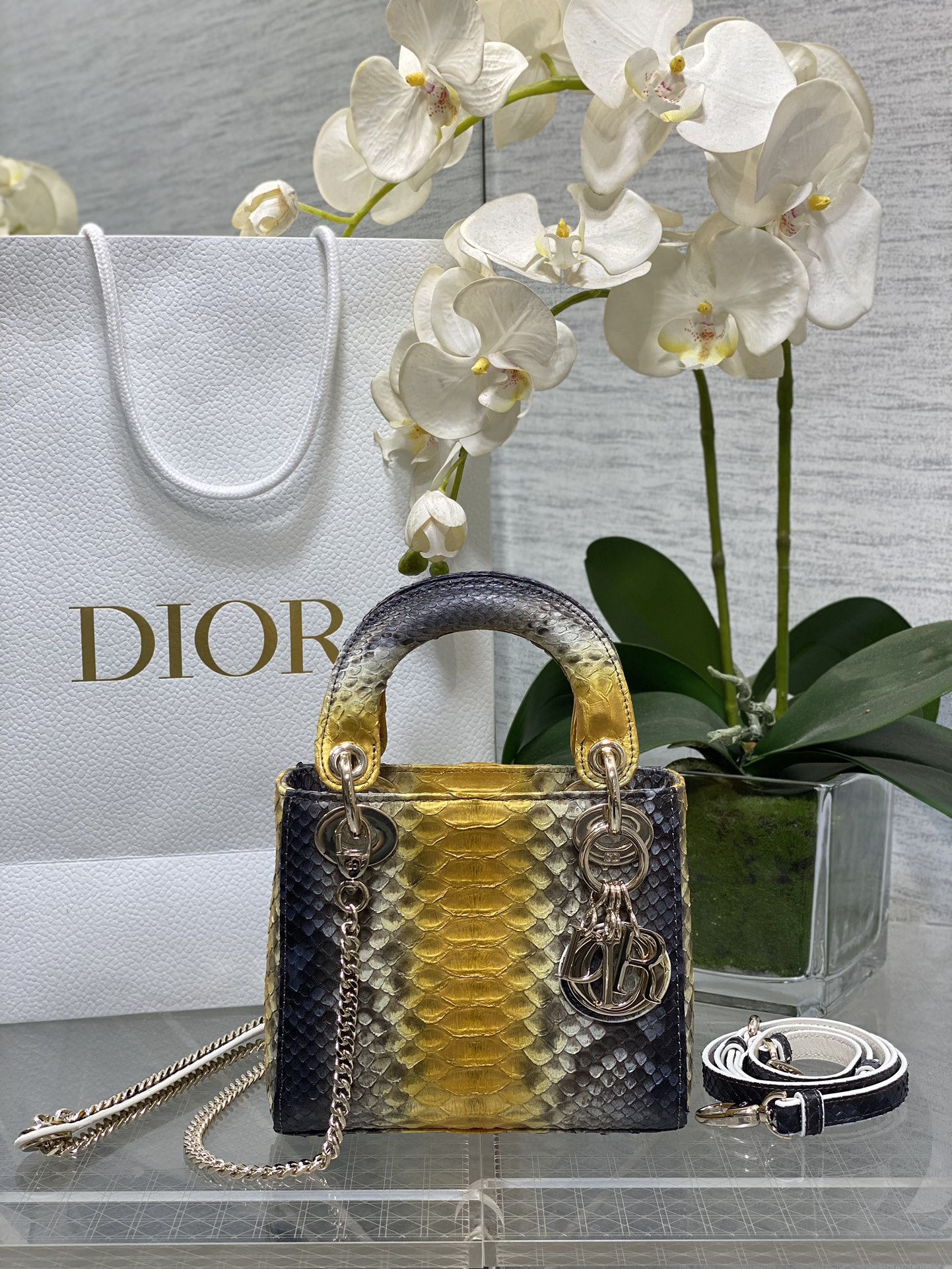 𝐋𝐚𝐝𝐲Tres marcos de piel de serpiente degradada dorada y azul.