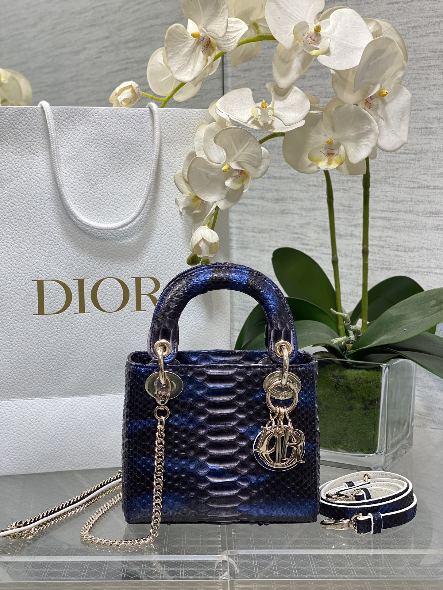 𝐋𝐚𝐝𝐲Tres cuadros Sinfonía piel de serpiente azul