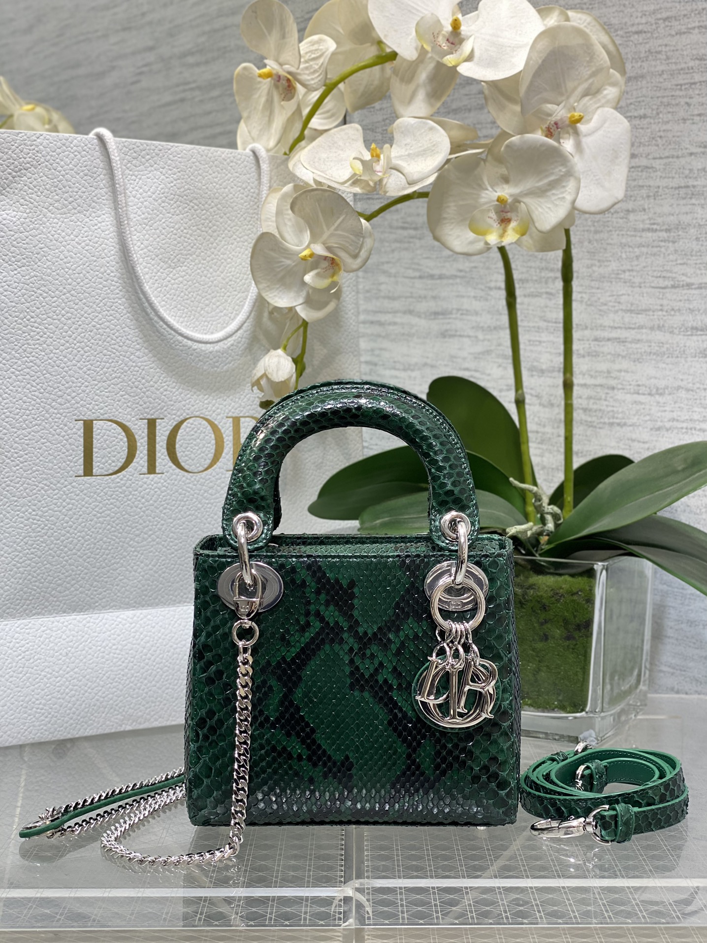 𝐋𝐚𝐝𝐲 piel de serpiente verde de tres rejillas