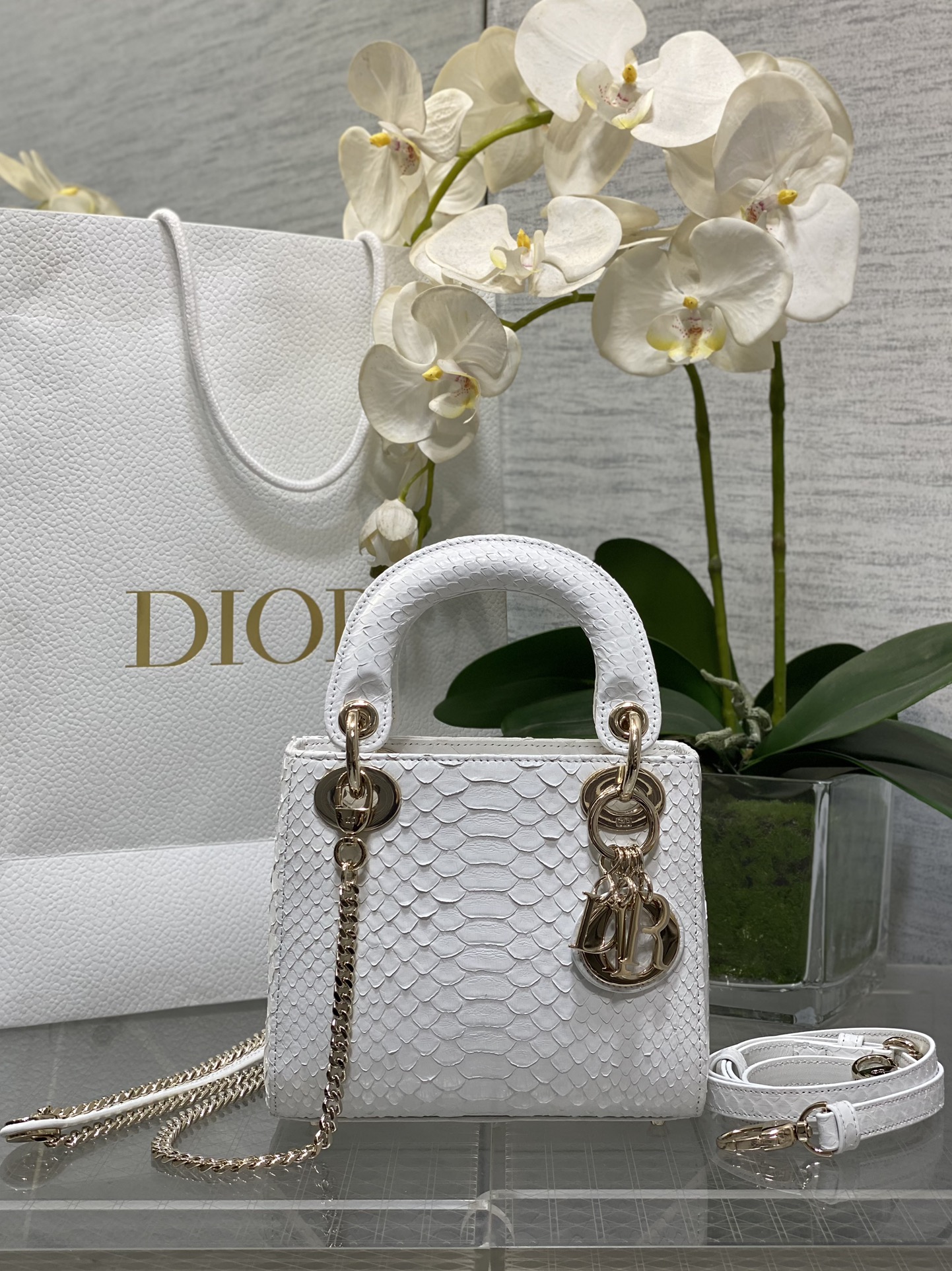 𝐋𝐚𝐝𝐲Tres rejillas piel de serpiente blanca