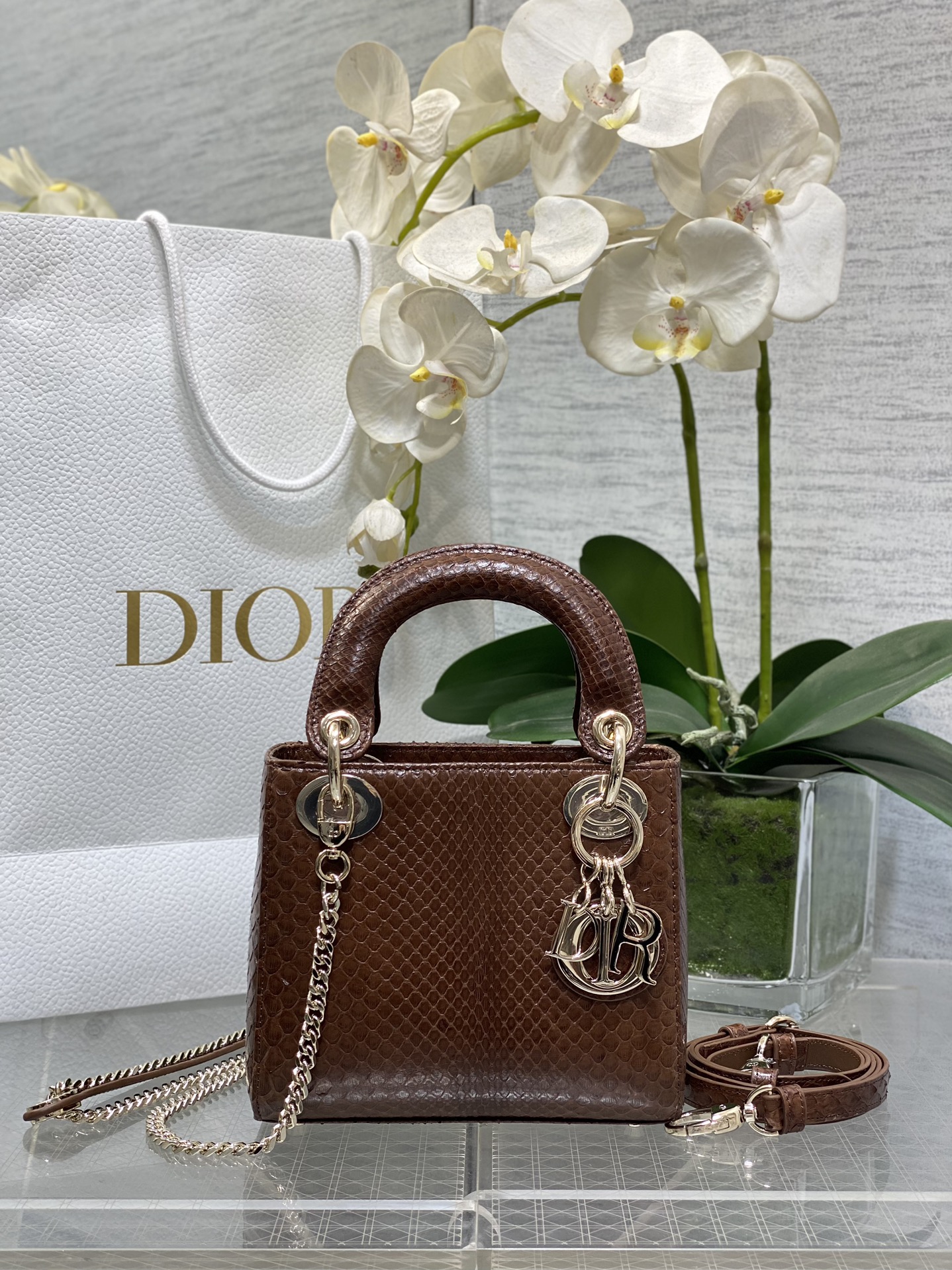𝐋𝐚𝐝𝐲 piel de serpiente marrón de tres rejillas