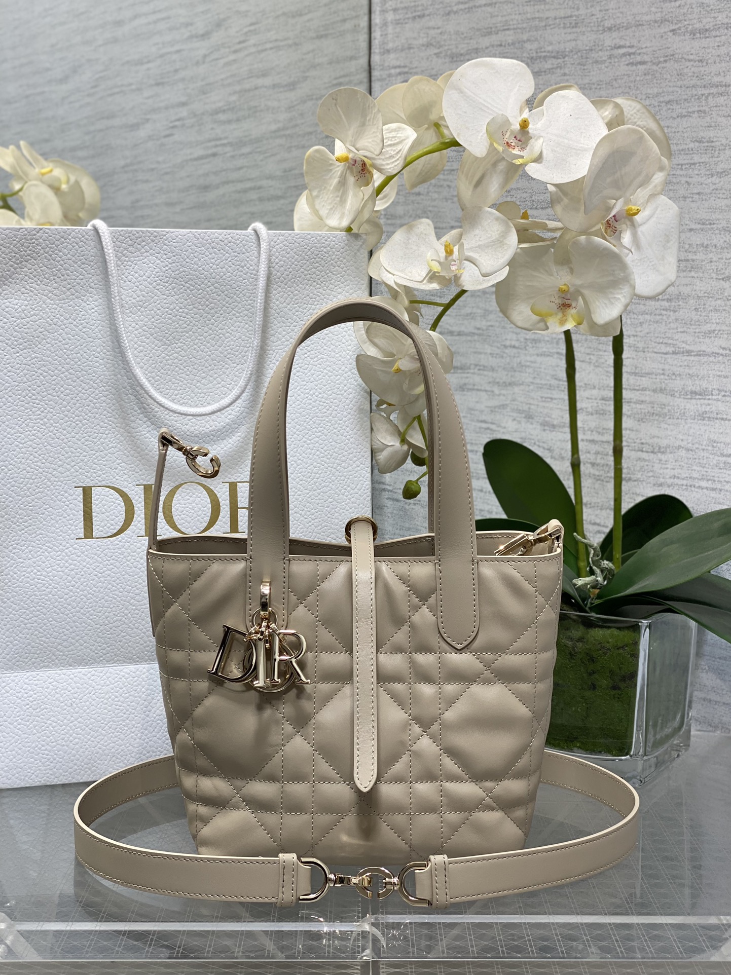Dior Toujours Vertical Beige tote everyday