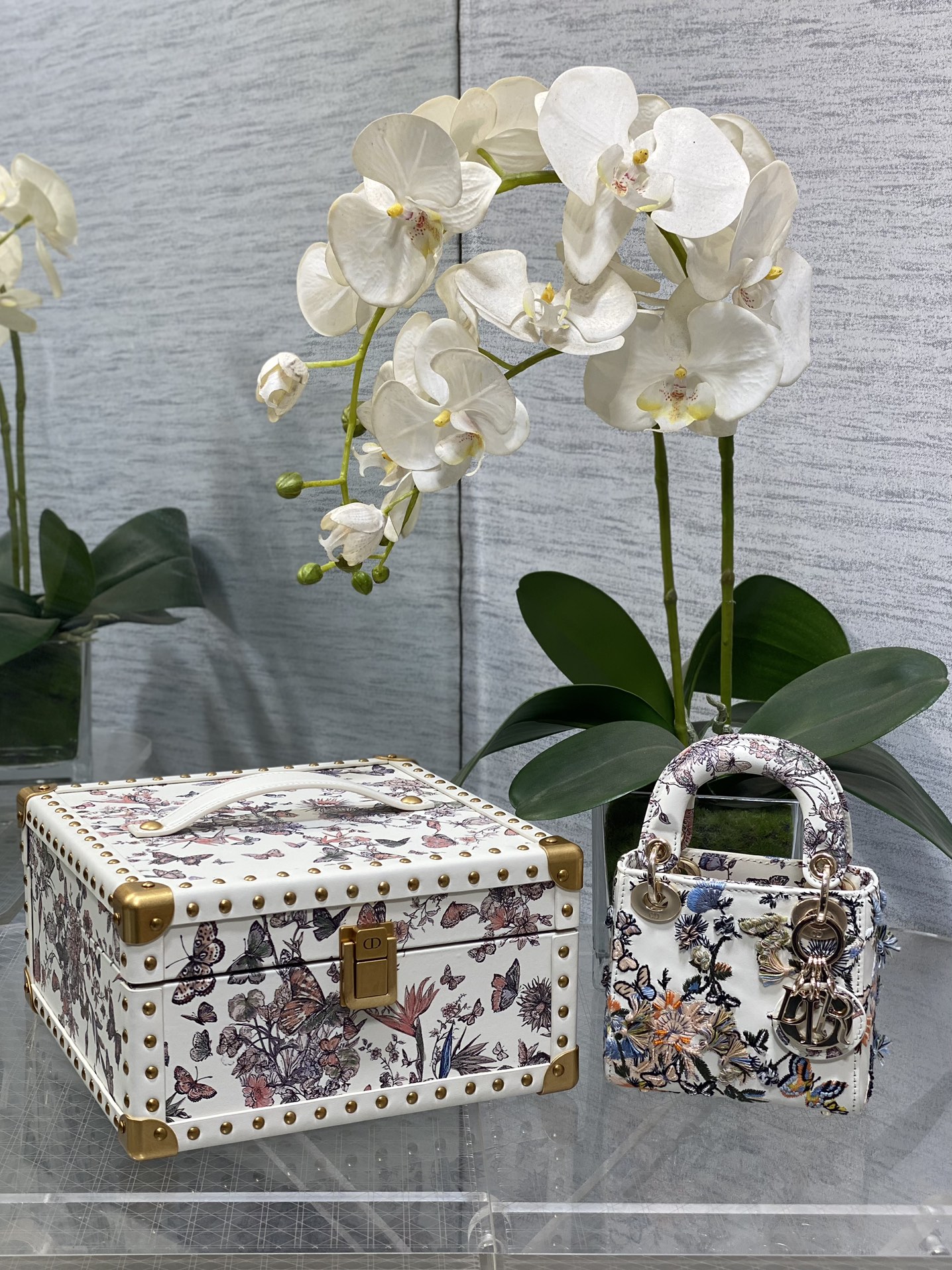𝐋𝐚𝐝𝐲 𝐃𝟏𝐨𝐫 Conjunto de edición limitada