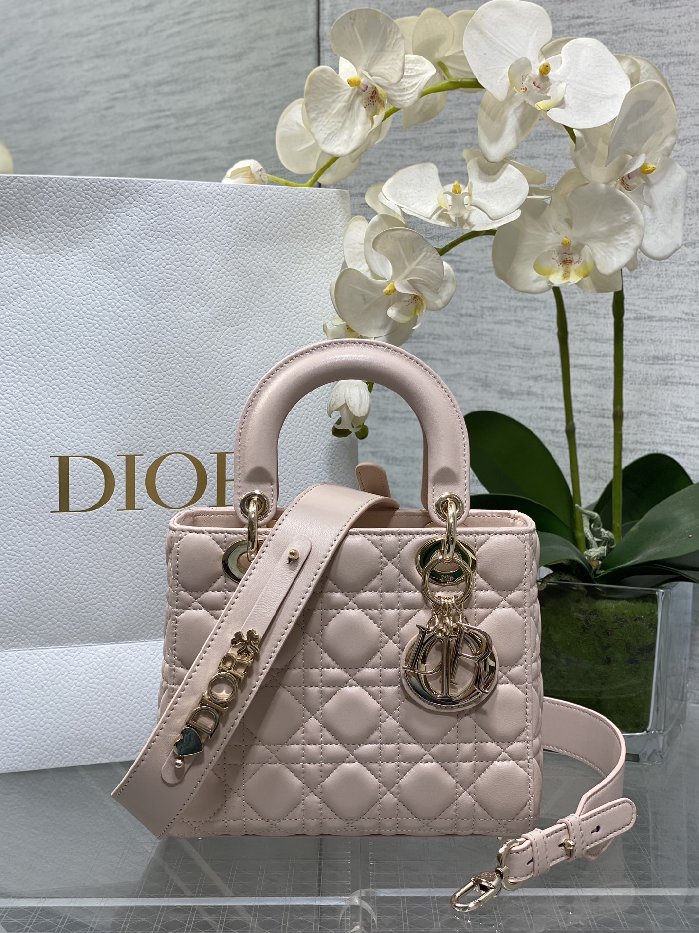 𝐋𝐚𝐝𝐲Polvo colorete de piel de oveja de cuatro cuadros