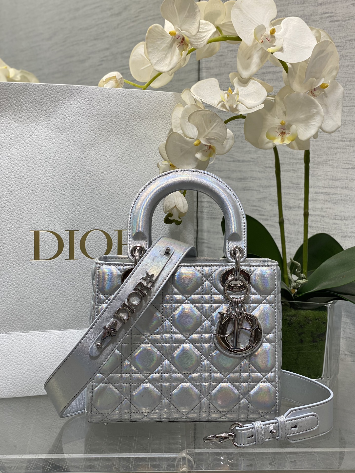 [Dior Women