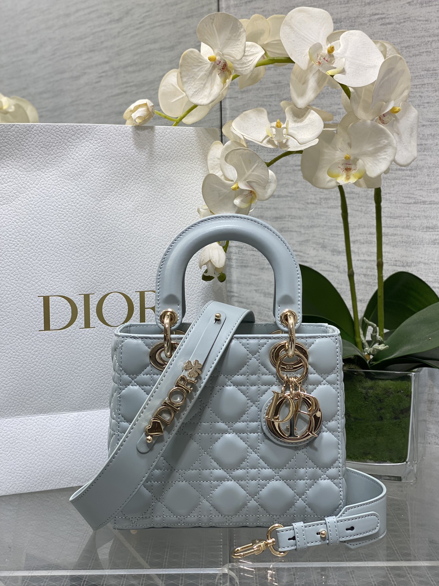 𝐋𝐚𝐝𝐲Cuatro cuadros de piel de oveja azul lago