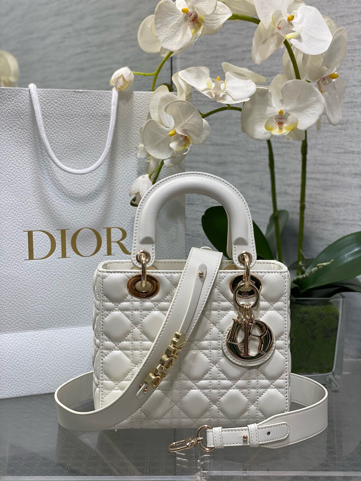 𝐋𝐚𝐝𝐲Cuatro cuadros piel de oveja Aries oro