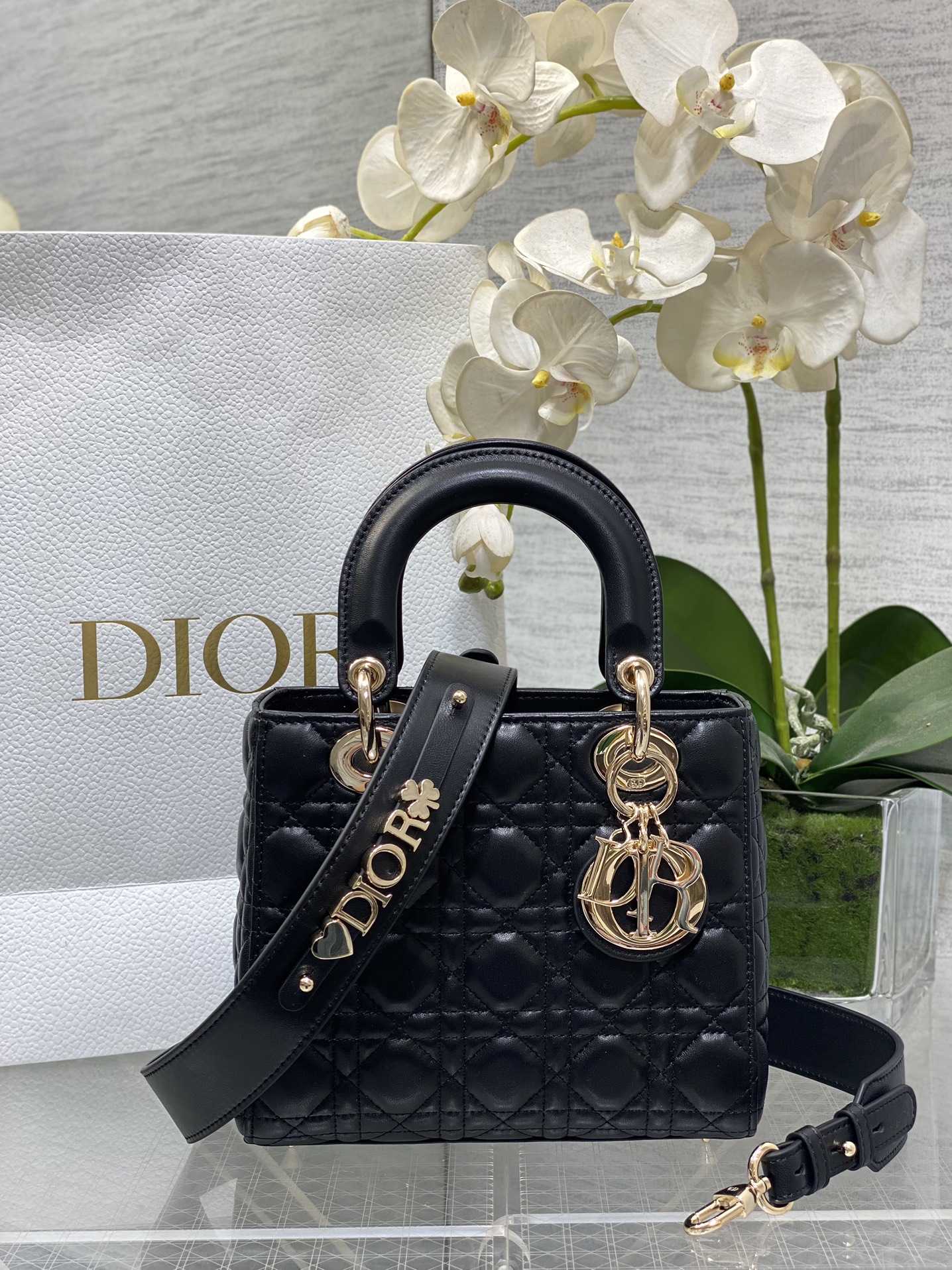 𝐋𝐚𝐝𝐲Cuatro cuadros piel de oveja negro oveja oro