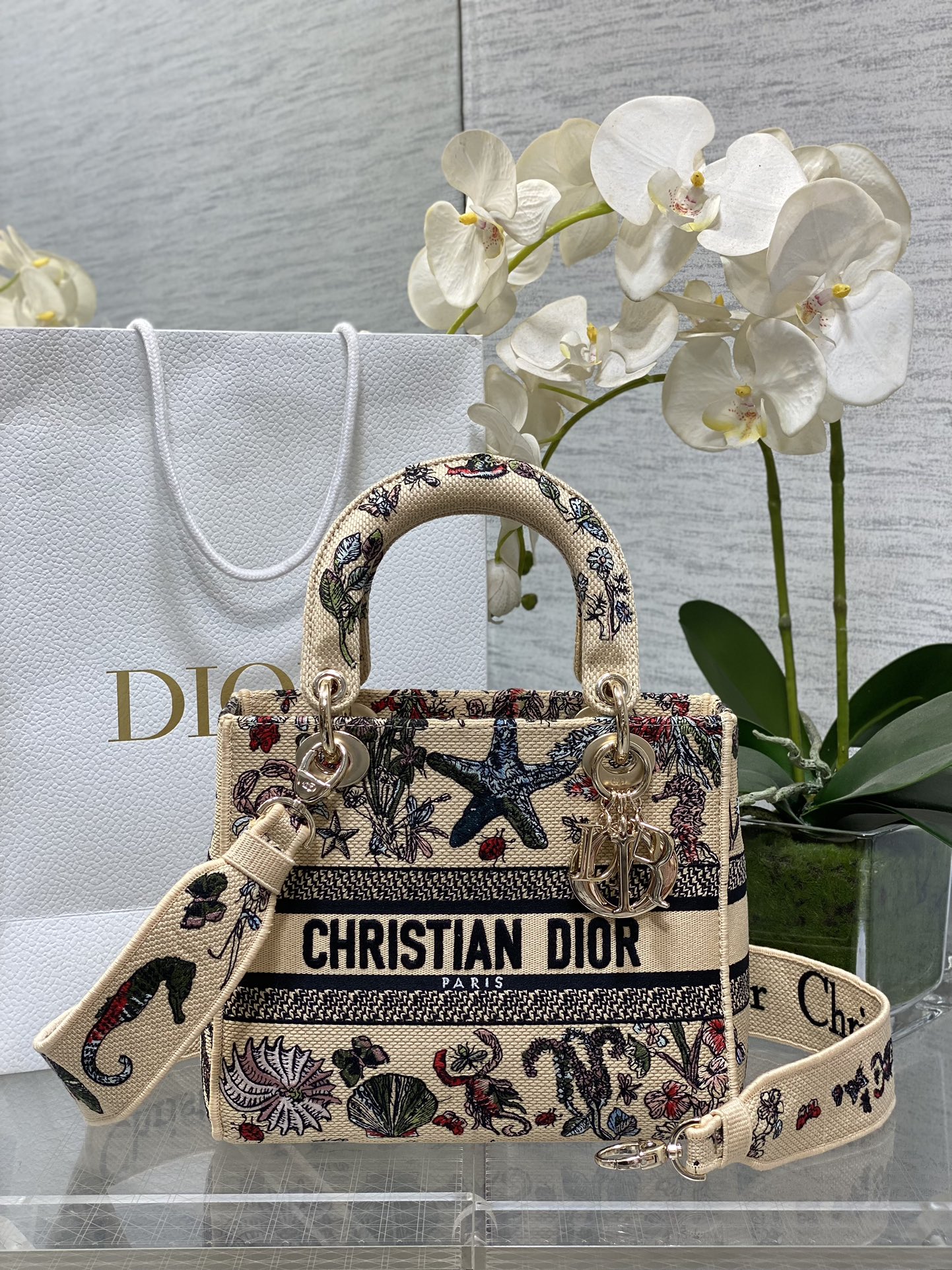 𝐋𝐚𝐝𝐲 Patrón de mundo submarino bordado de cinco cuadros