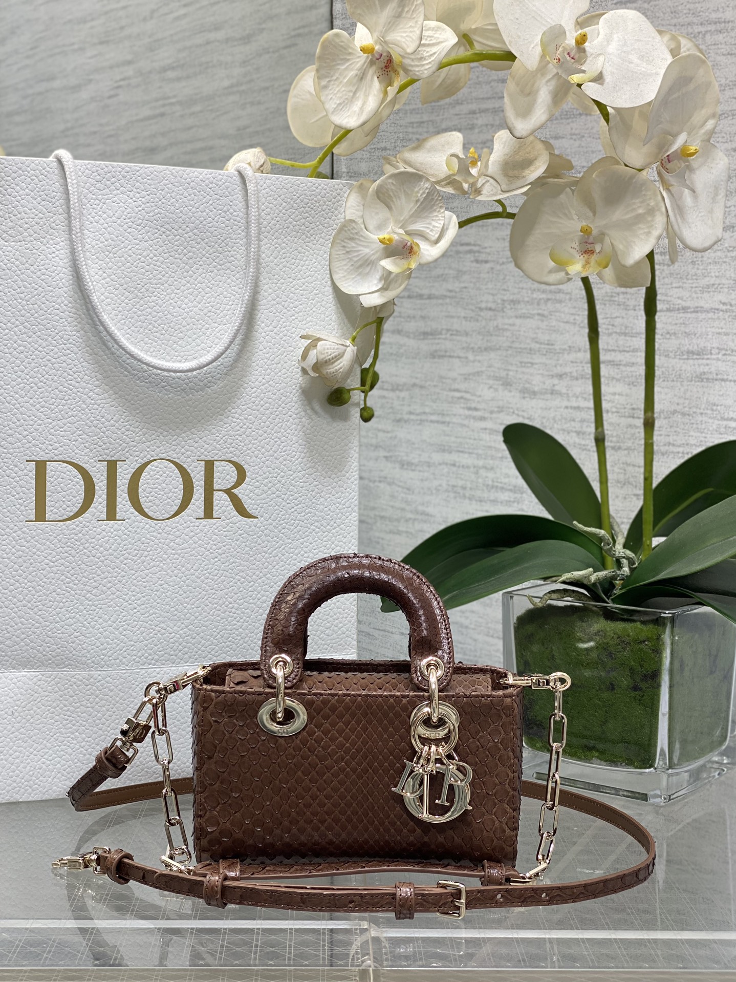 𝐋𝐚𝐝𝐲横版𝟏𝟔'𝟓𝐜𝐦cuero de serpiente marrón